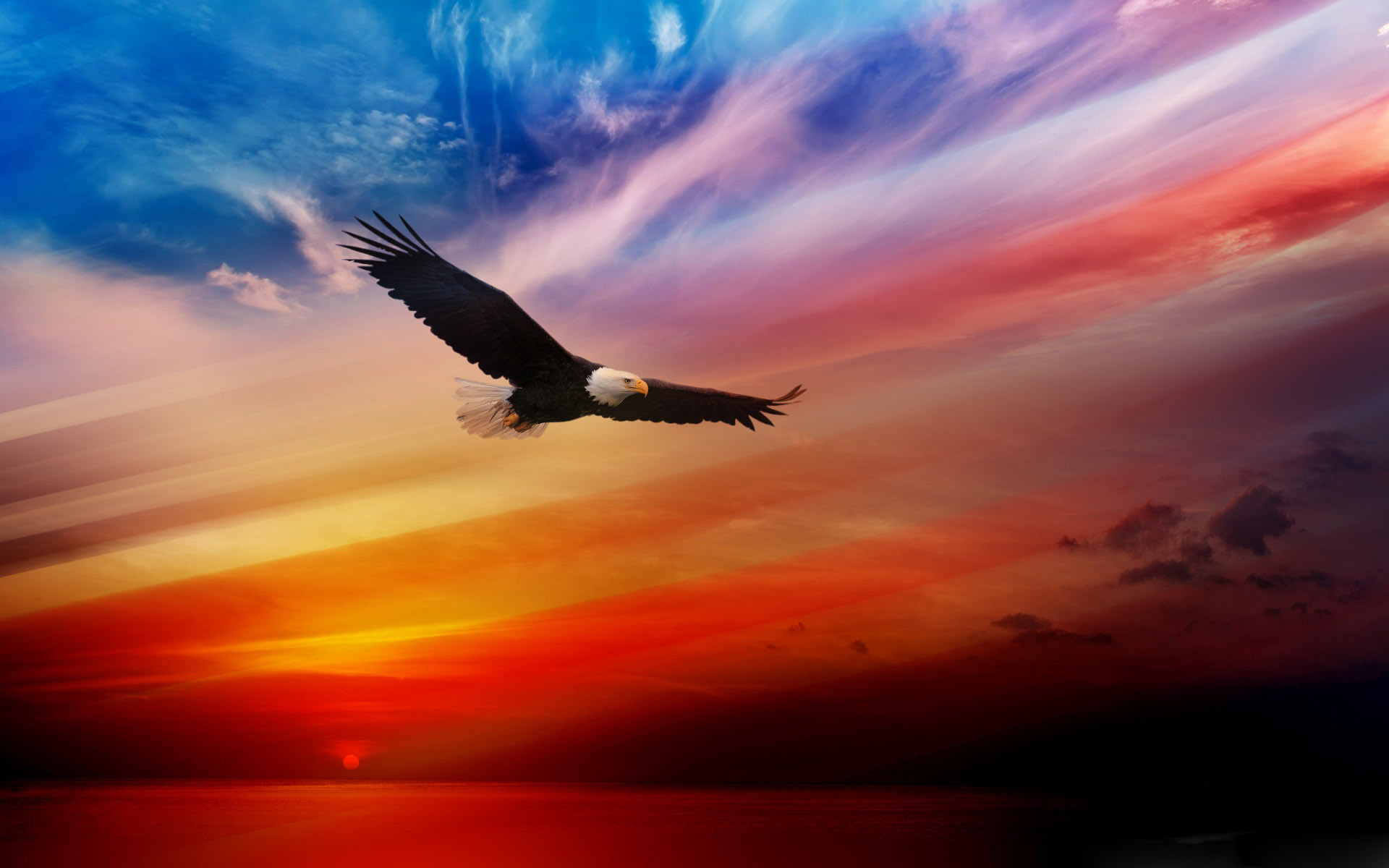 1920x1200  Bald Eagle High Definition Wallpapers Free Download - Page 3 Â·  Download Â· american flag eagle wallpaper ...