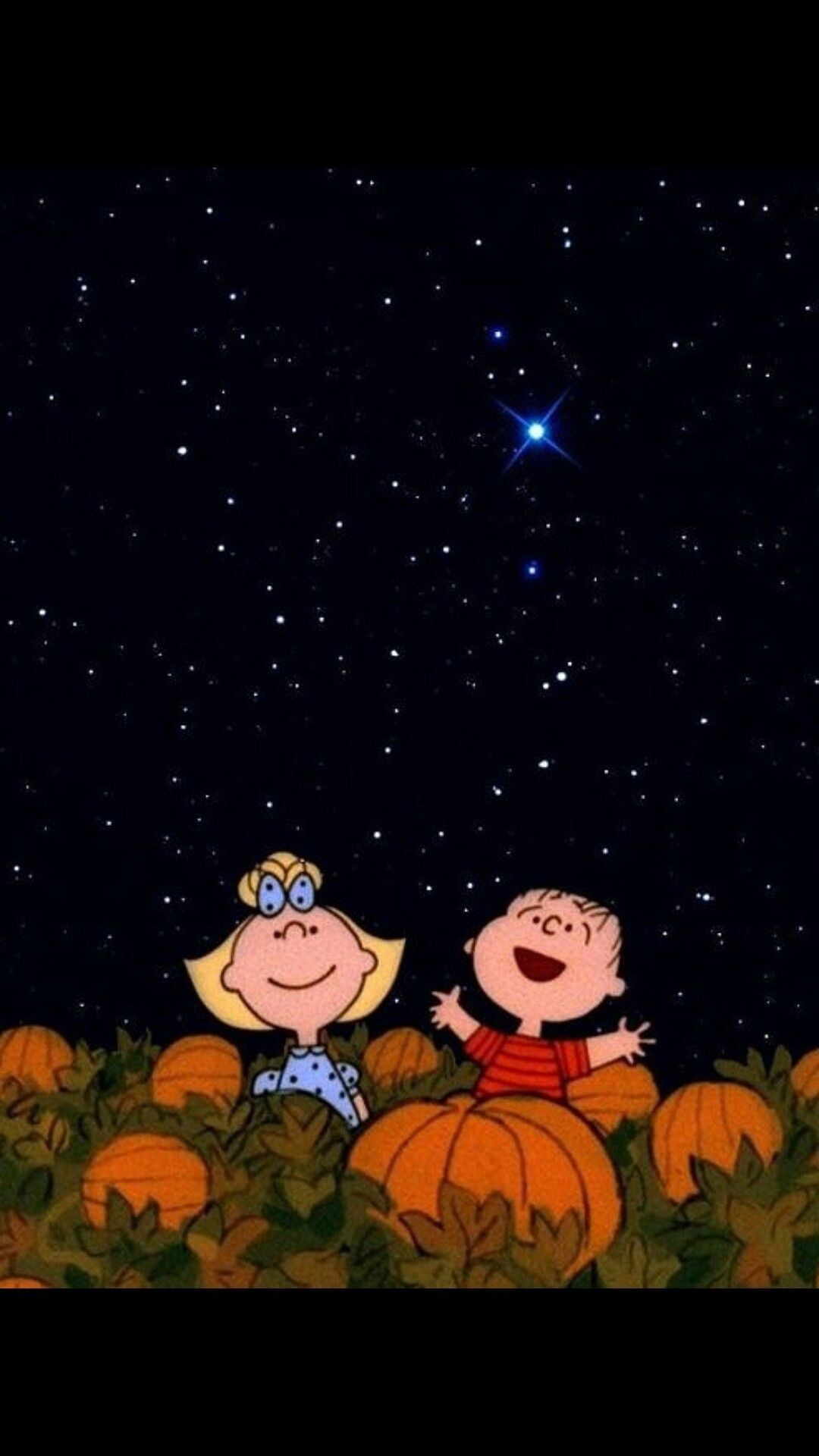 1080x1920  Wallpaper Backgrounds, Phone Wallpapers, Halloween Wallpaper,  Backdrops, Charlie Brown, Background