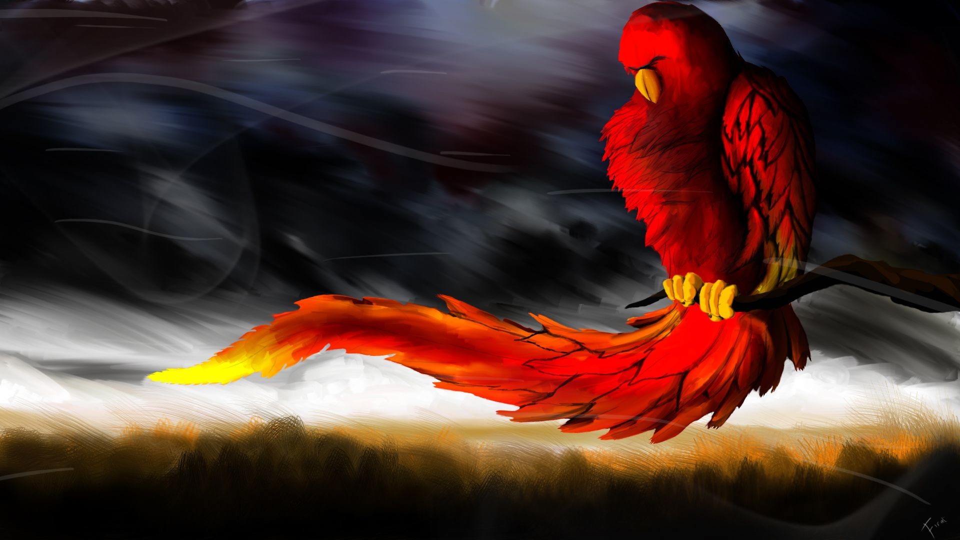 1920x1080 Red Bird. Available in 1920Ã1080.