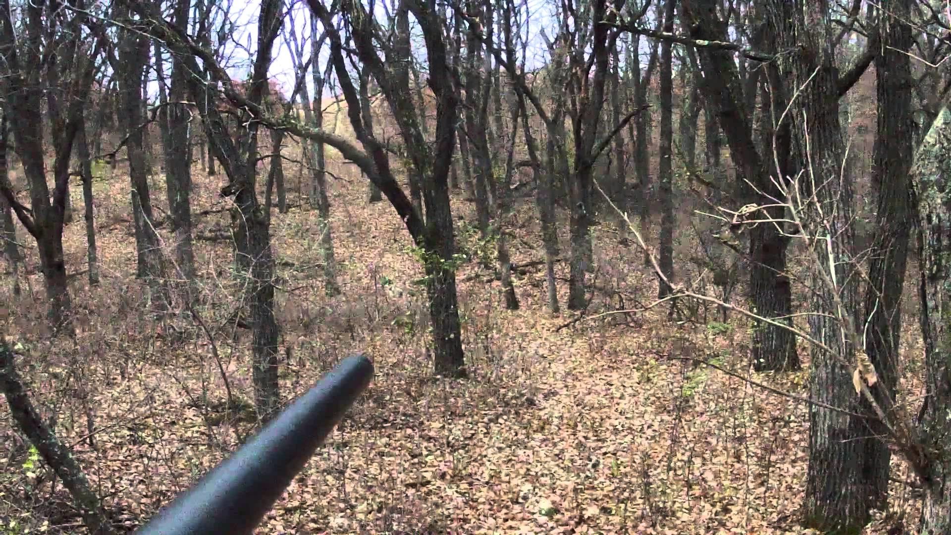 1920x1080 Opening Morning Deer (8 point buck) with Remington 270, Minnesota 2014  Firearms Season - YouTube