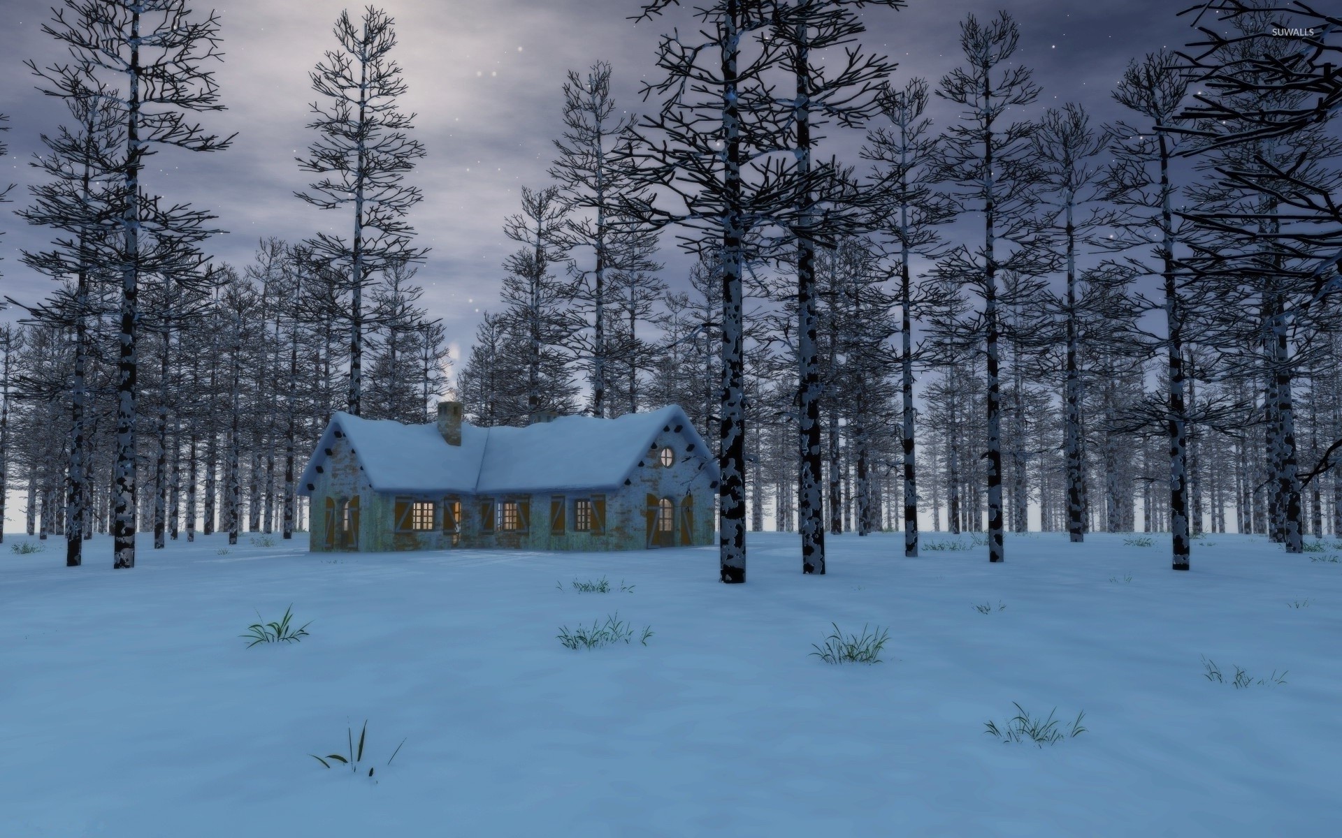 1920x1200 Snow on the house in the forest wallpaper