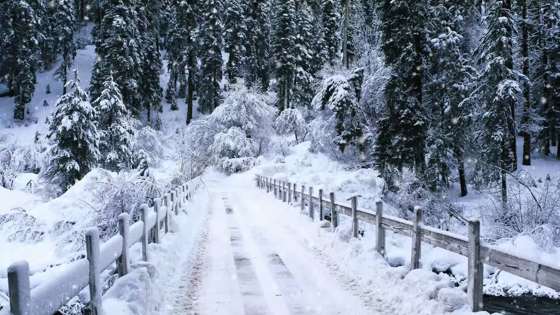 1920x1080 Snow Falling, Windows 7 Video Background, DreamScene (Adobe after effects)  - YouTube