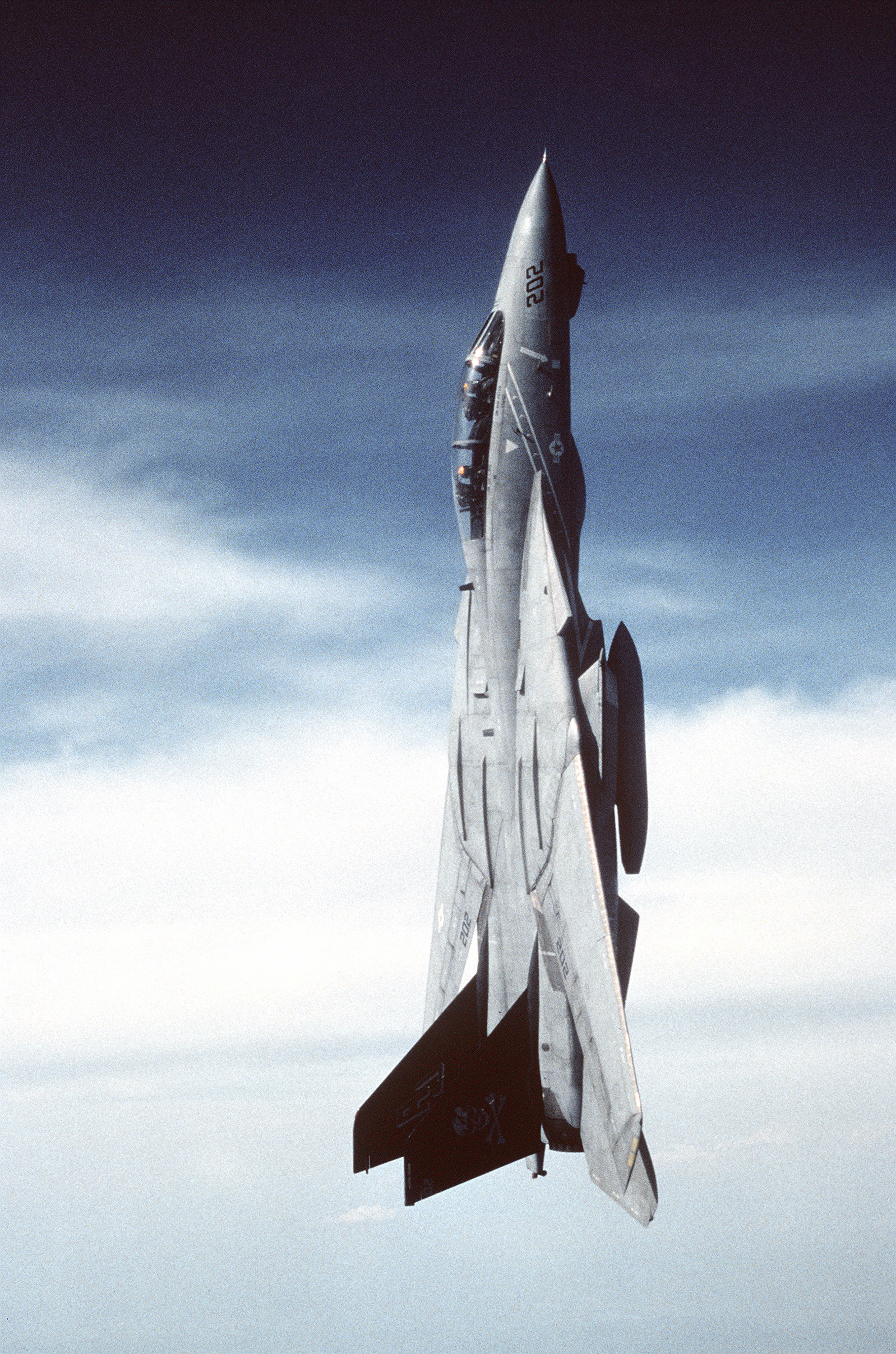 1986x3000 [ Image] Vehicle Aircraft Fighter Aircraft F 14 