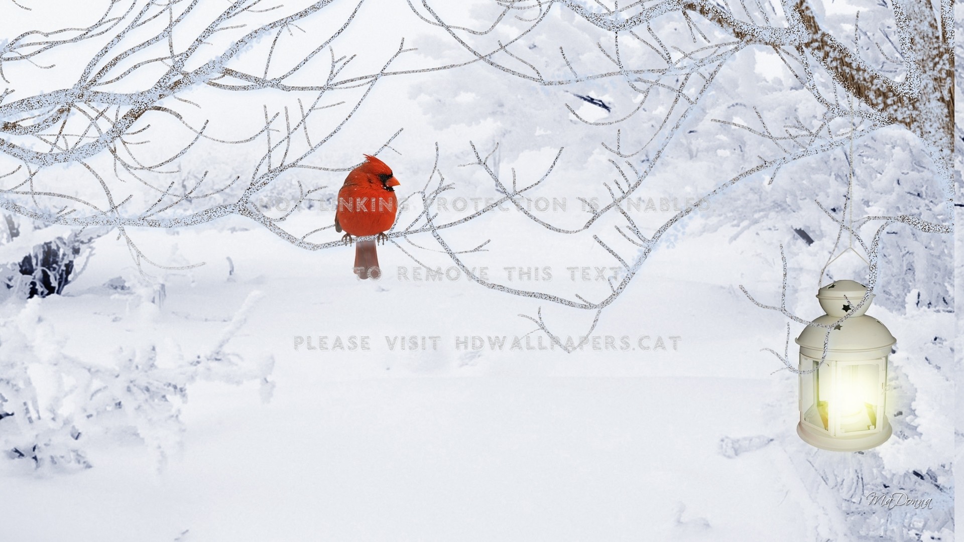1920x1080 Bright spot of winter trees cardinal snow jpg  Cardinal in the snow  wallpaper