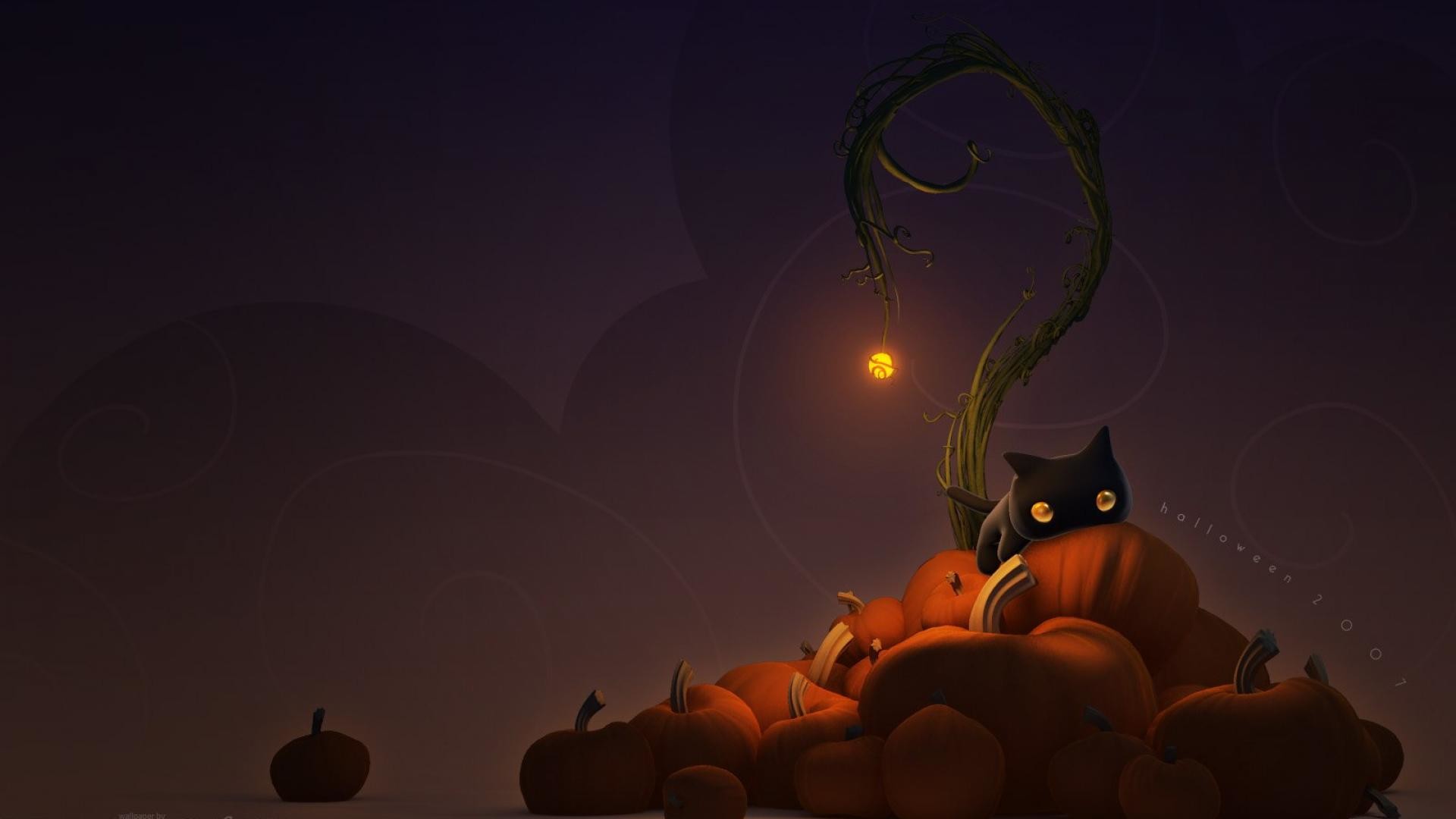 1920x1080 coco standard halloween pumpkins moon black cat HD Wallpaper . ...