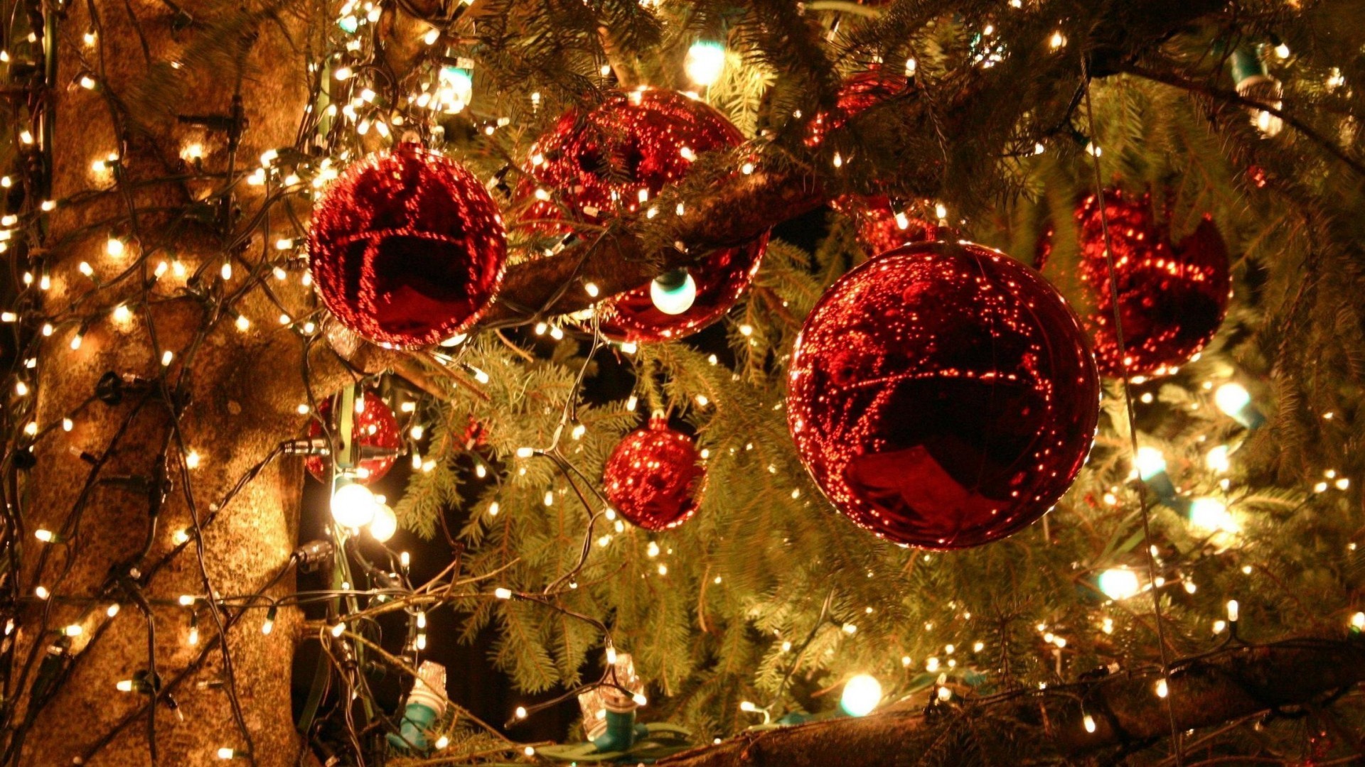 1920x1080 Christmas Trees Decorated Wallpaper