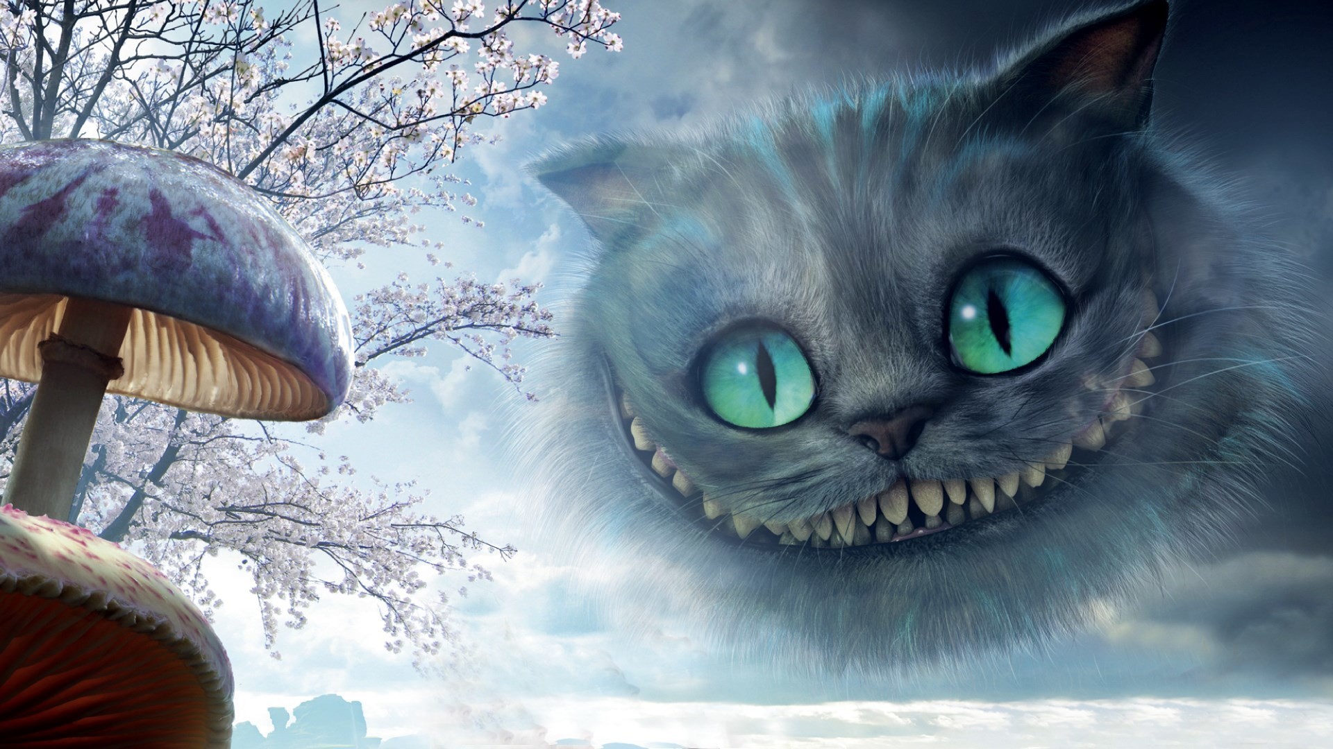 1920x1080  cheshire cat wallpaper hd backgrounds images