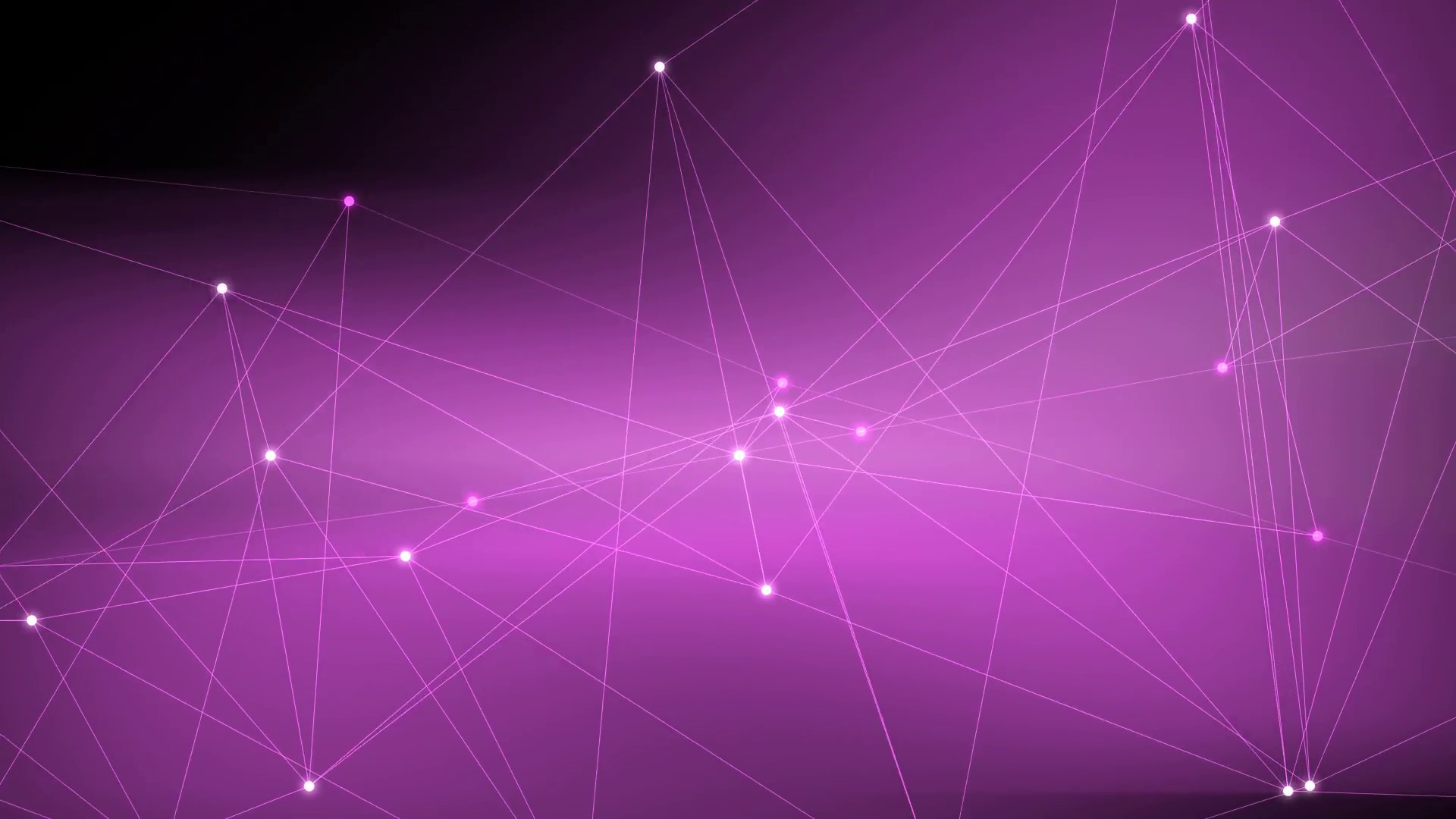 1920x1080 Purple Lines and Points Motion Background