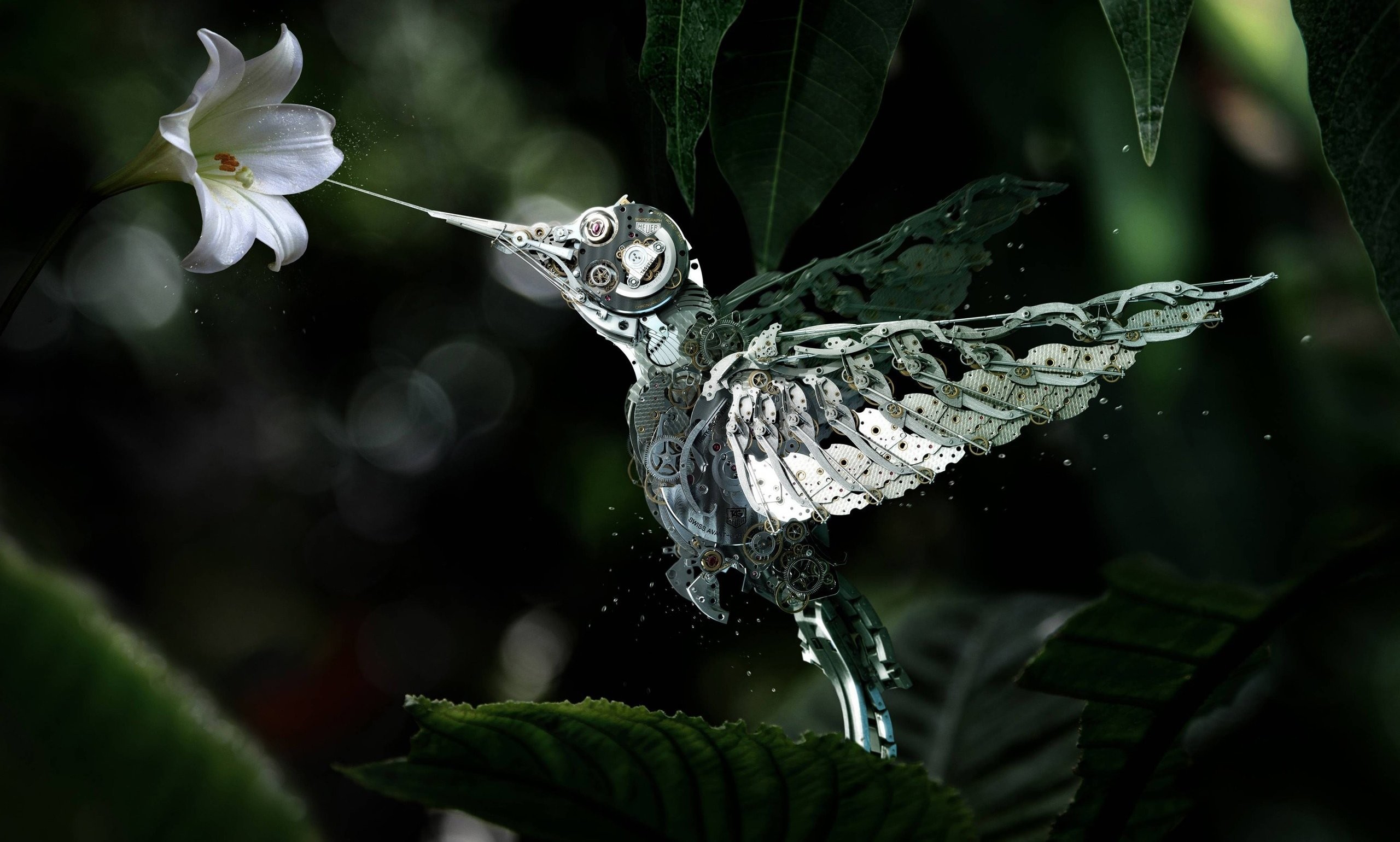 2560x1540 Humming Bird Made From Watch Parts