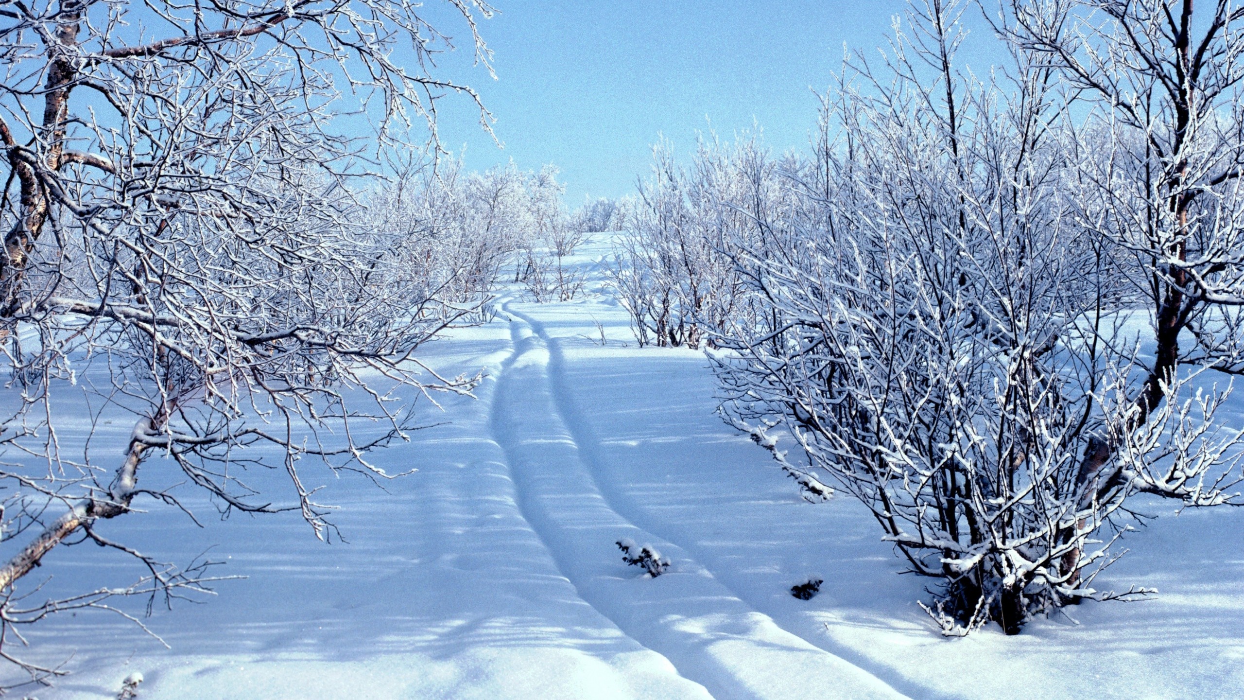 2560x1440  Wallpaper snow, snowdrifts, traces, sledge, winter