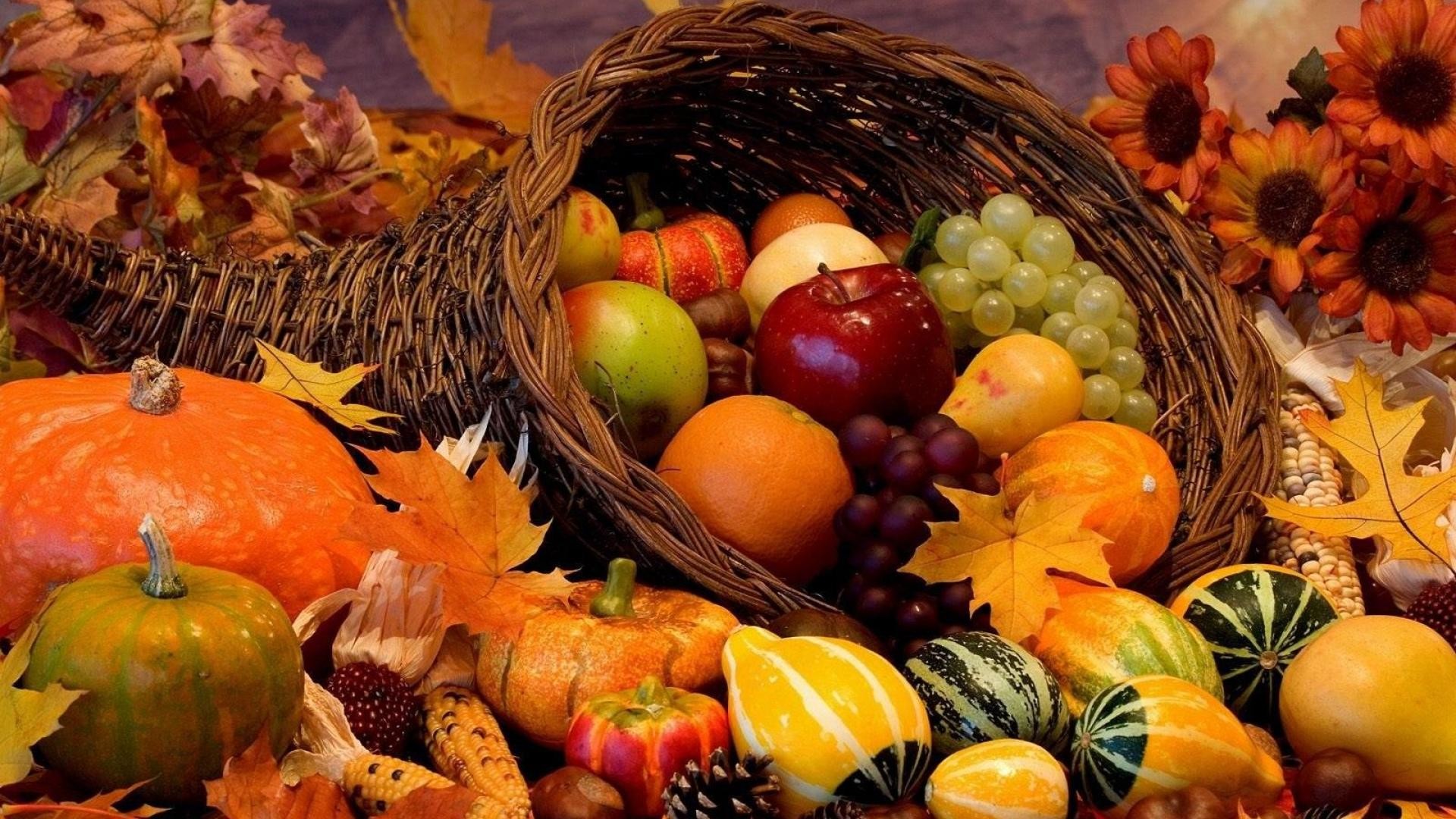 1920x1080 Autumn-harvest-Category-General-HD-resolutions-1366x768-x-