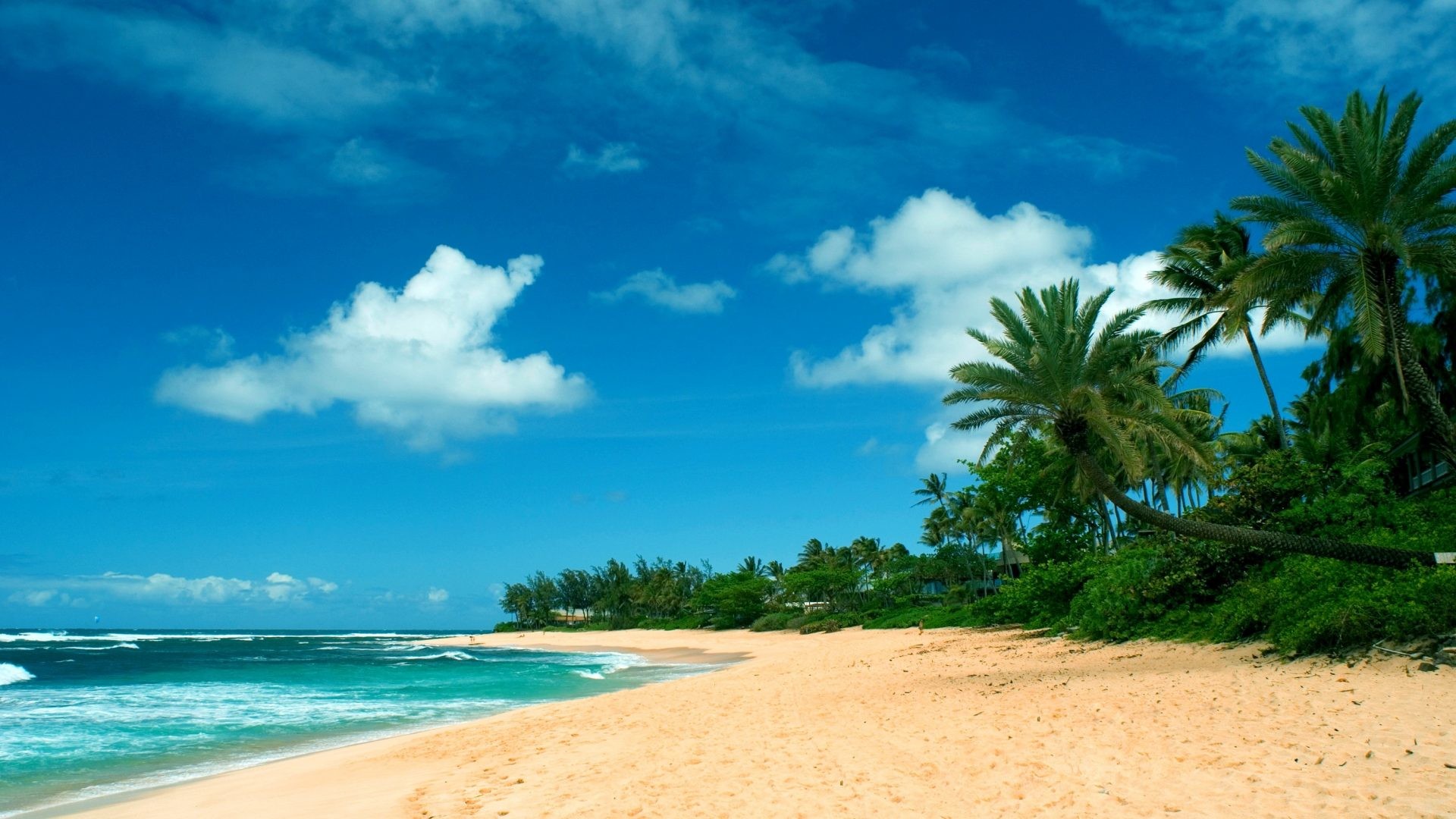 1920x1080 Beaches - HAWAIIAN BEACH Ocean Hawaii Pacific Golden Water Waves Sand Surf  Sun North Shore Sandy