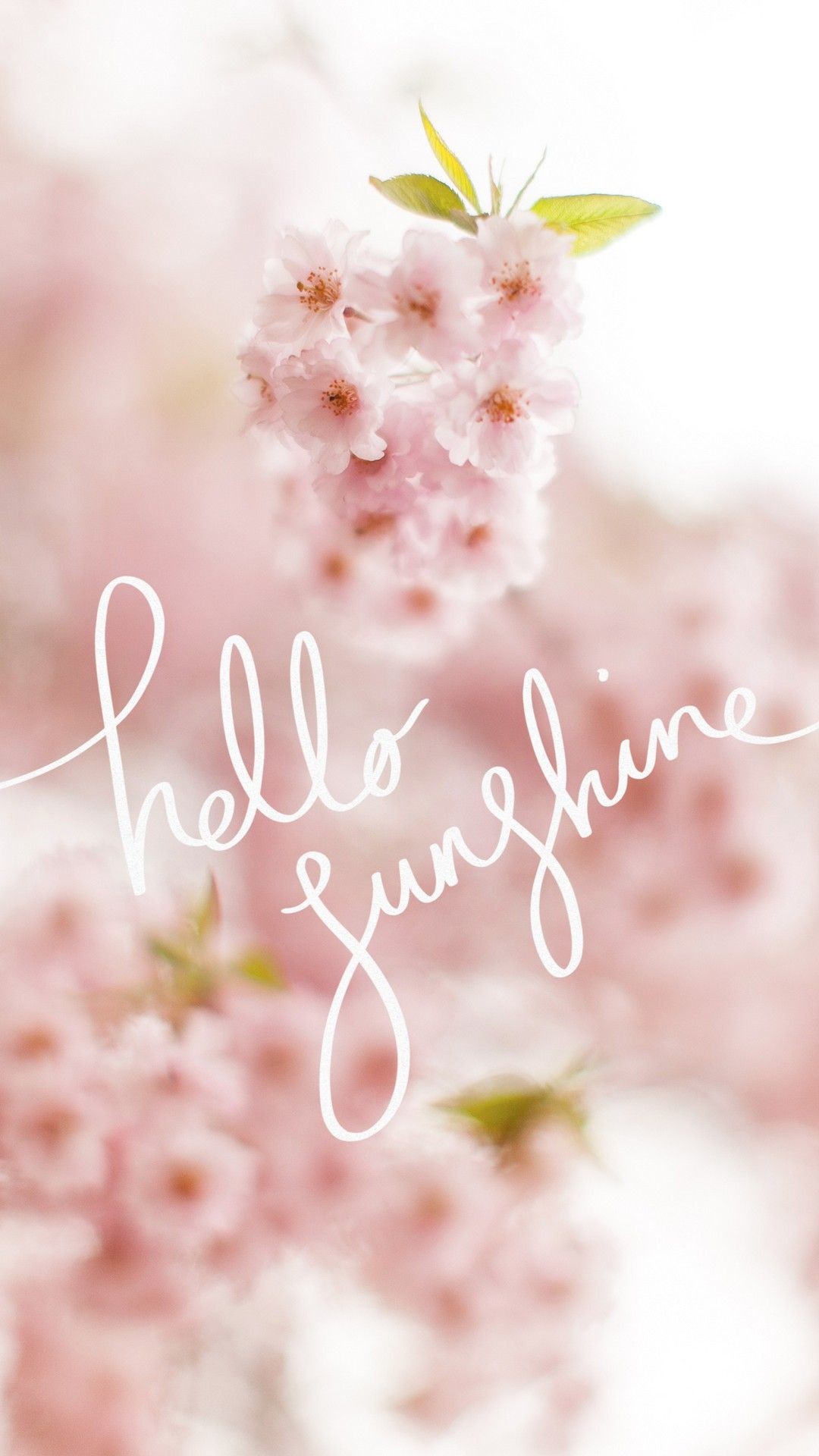 1080x1920 Cute Spring HD Wallpapers For Android - Best Android Wallpapers