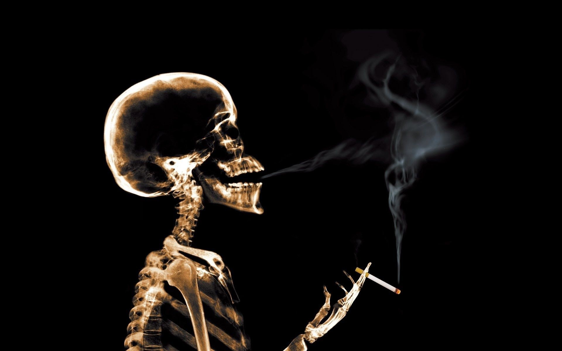 1920x1200 Smoking Skull Live Wallpaper - YouTube