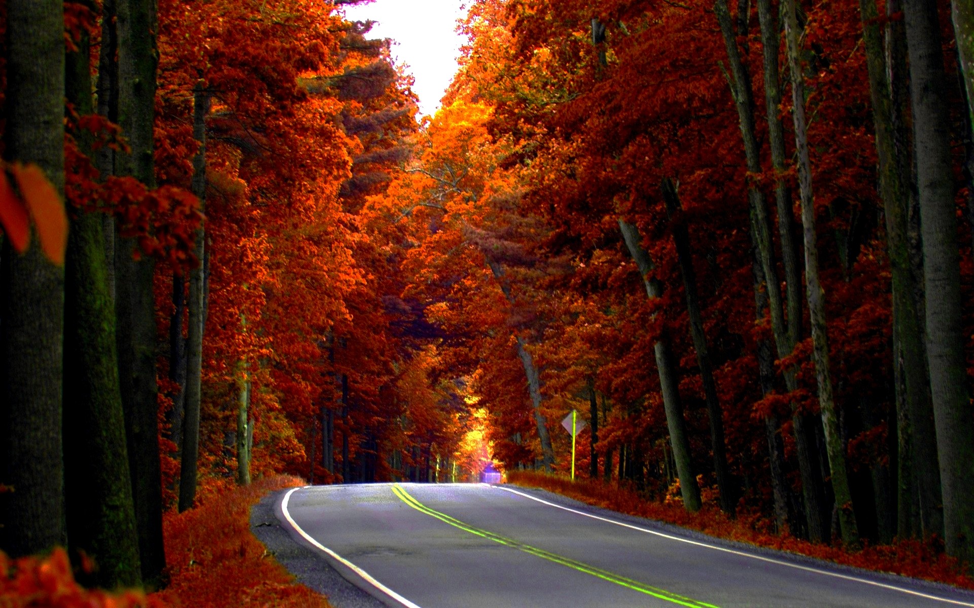 1920x1200 Autumn Road