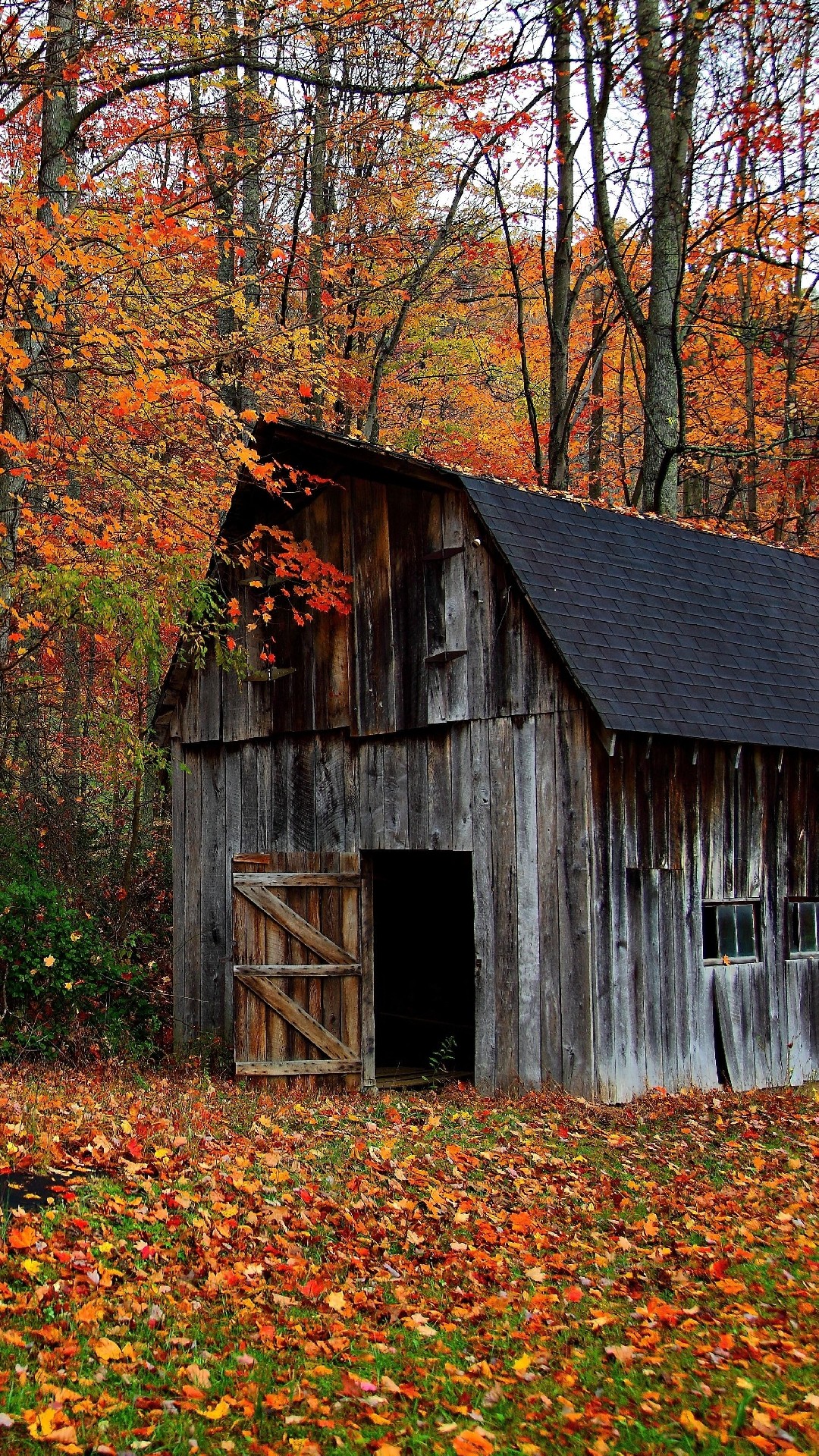 1080x1920 Iphone wallpaper Autumn cabin in the wood ...