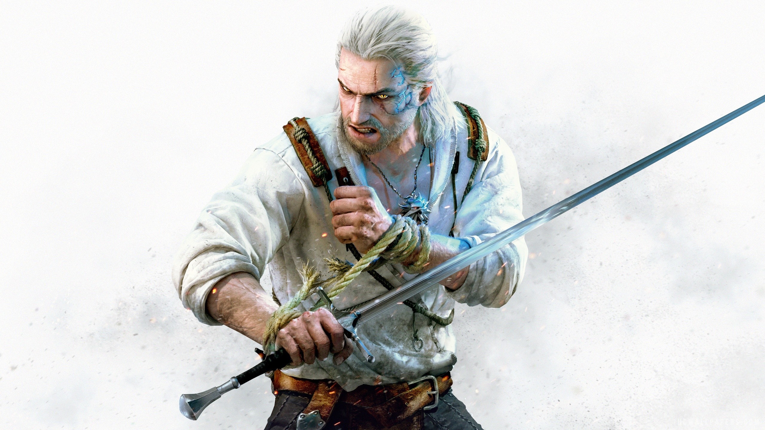 2560x1440  Wallpaper the witcher 3, wild hunt, characters, weapons