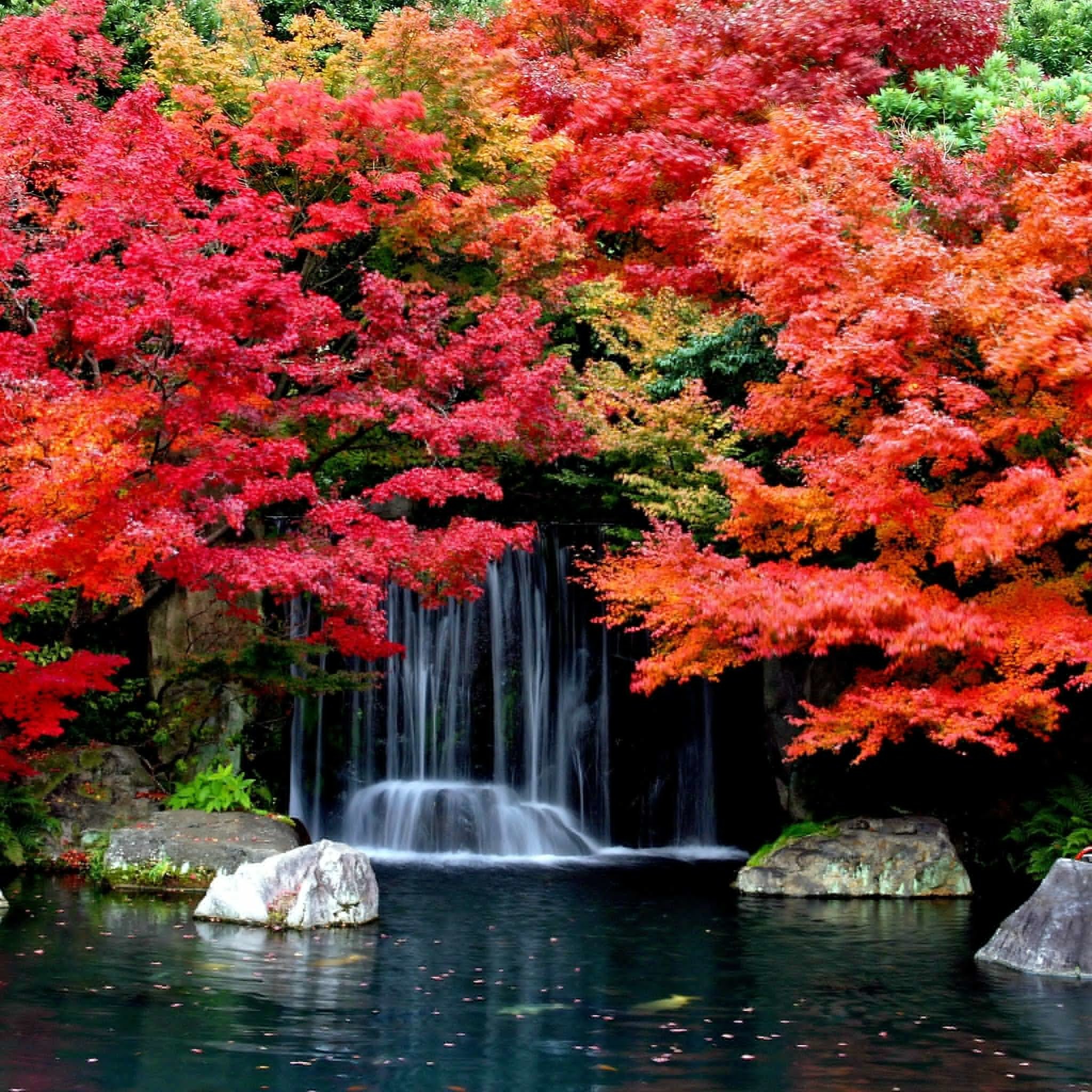 2048x2048 Cool #Autumn #Waterfall #Apple iPad Air Tablet #Wallpaper ~ #iPadAir  #Nature #Wallpapers