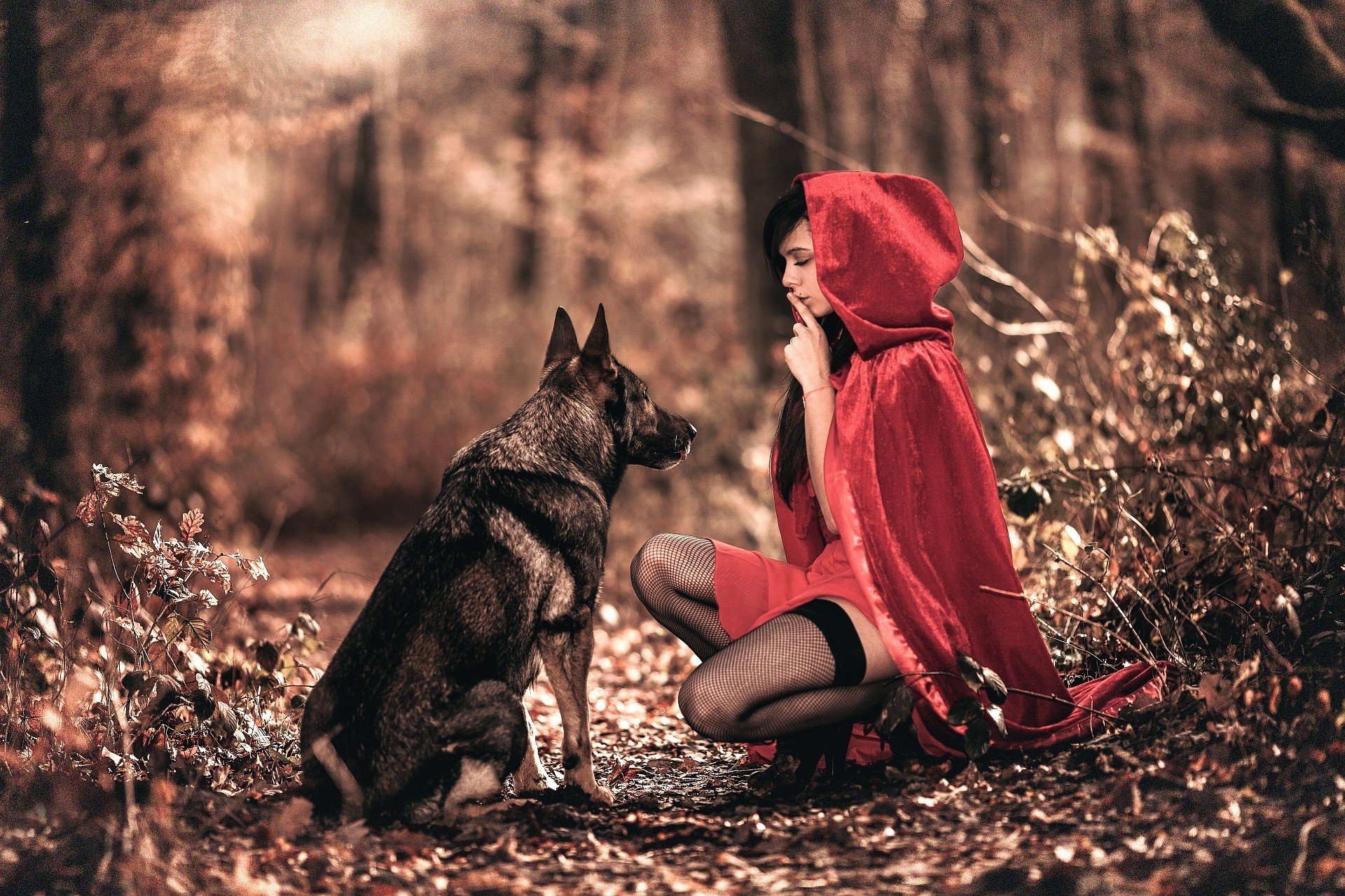 1920x1280 Little Red Riding Hood Wallpapers Hd