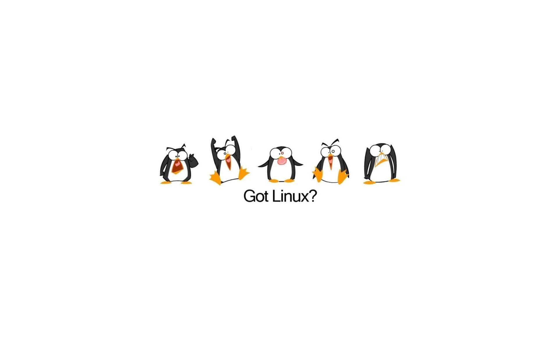 1920x1200 Linux Penguin Wallpapers - Full HD wallpaper search