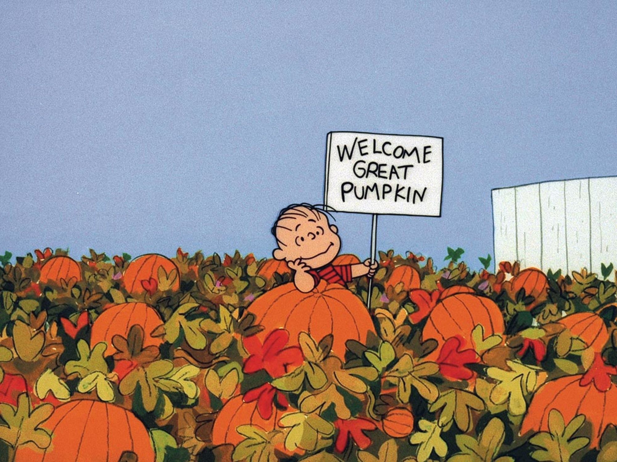 Snoopy Halloween Charlie Brown Fall HD wallpaper  Pxfuel