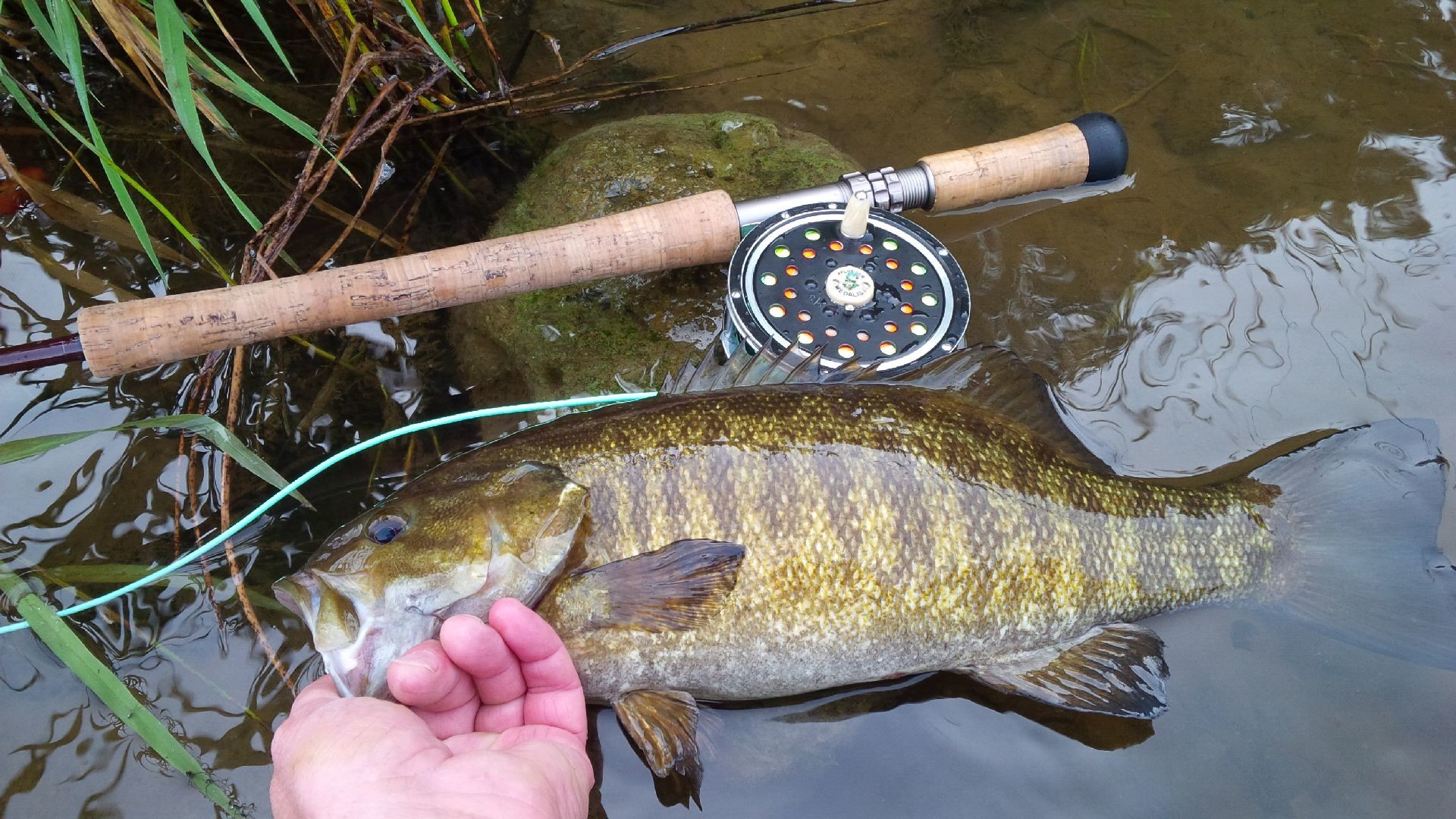 1920x1080 Alec Medemblik – Tying Flies for “River” Smallmouth Bass