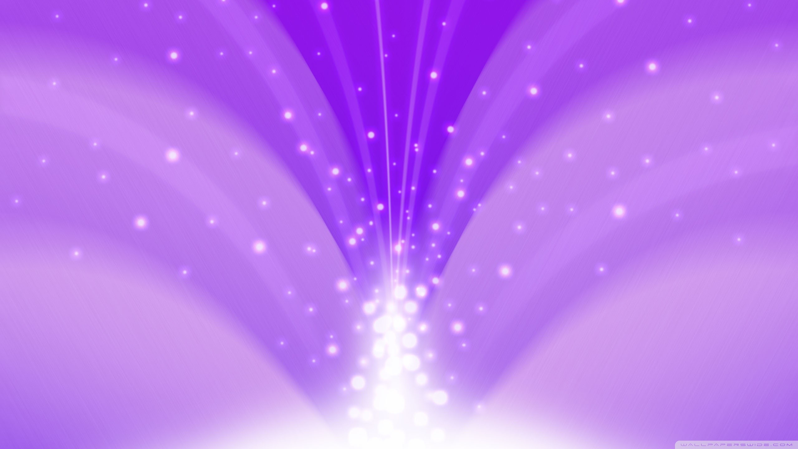 2560x1440 Light Purple Wallpaper