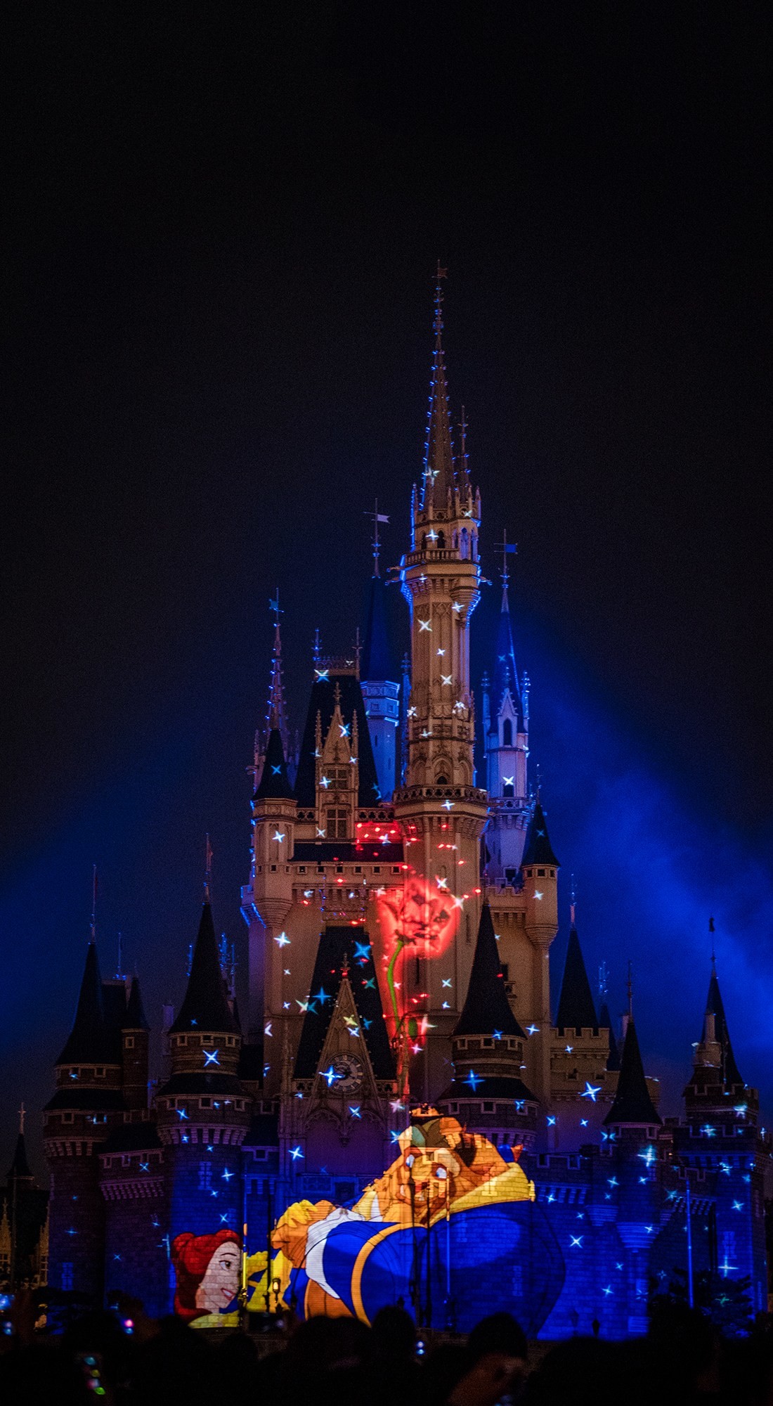 1100x2000 Disneyland's Sleeping Beauty castle! Finally going back in a month