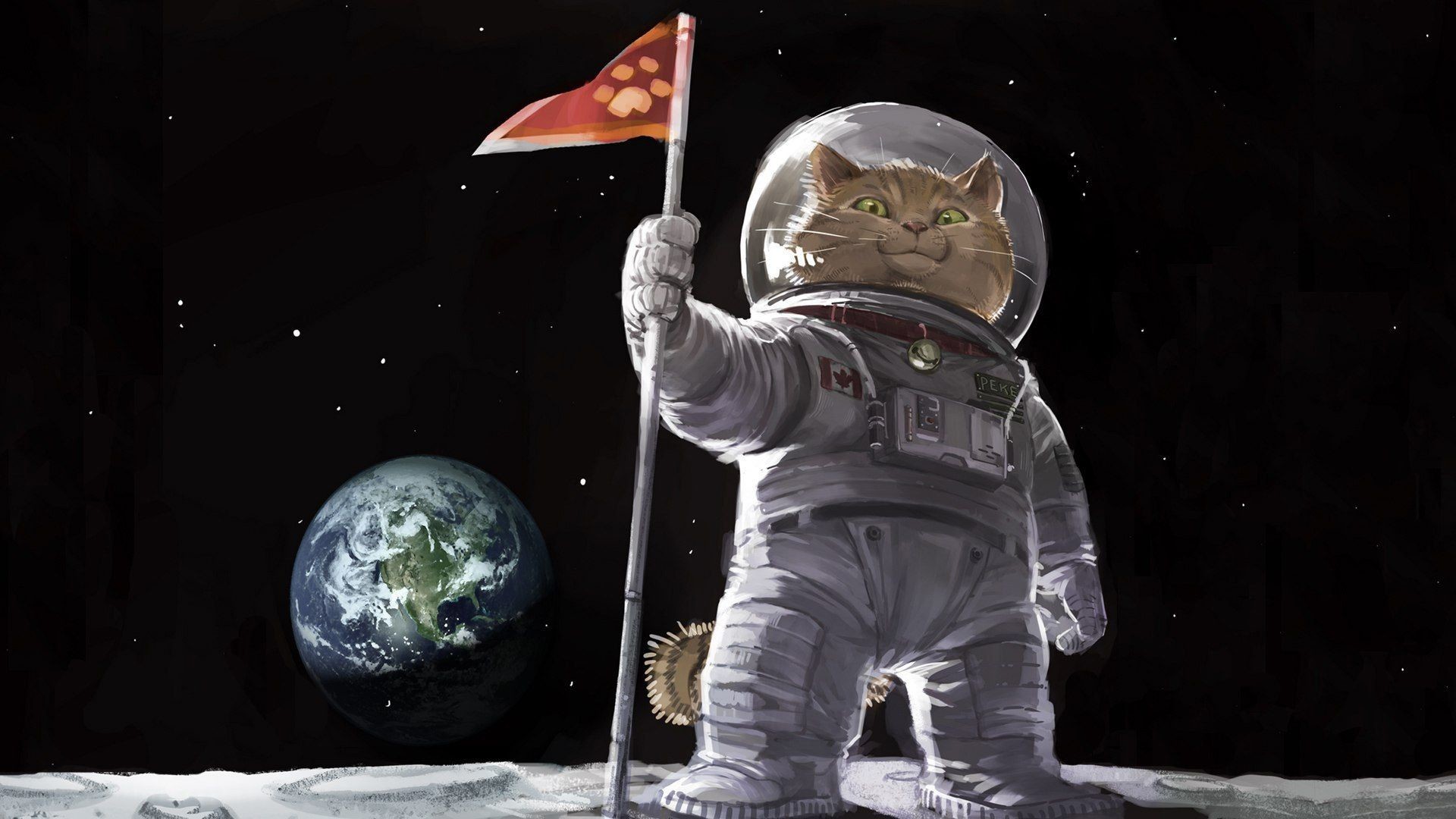 1920x1080 Astronaut On Moon with Cat (page 5) - Pics about space