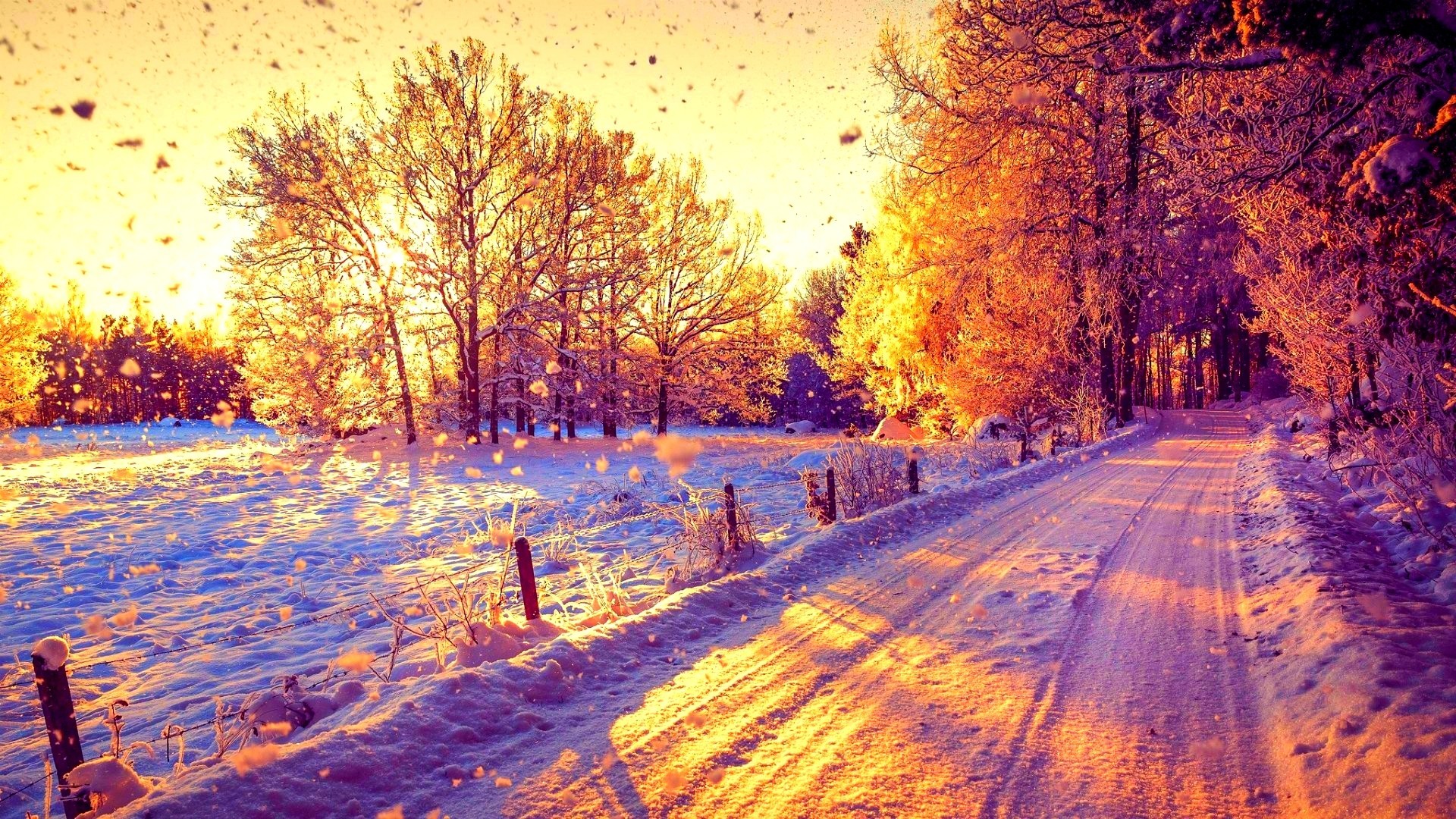 1920x1080 Beautiful Snow Forest Winter Sun Trees Nature Sunny Road Sunset Sunshine  Amazing Wallpaper Iphone 6 Plus