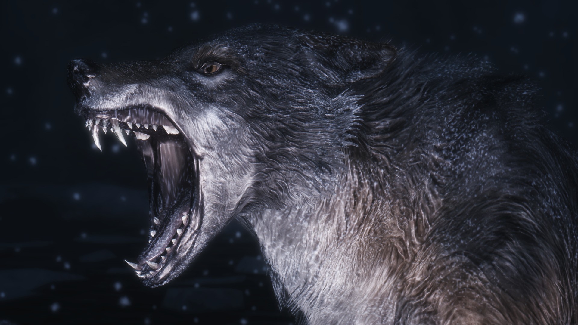 1920x1080 angry wolf wallpaper #679259