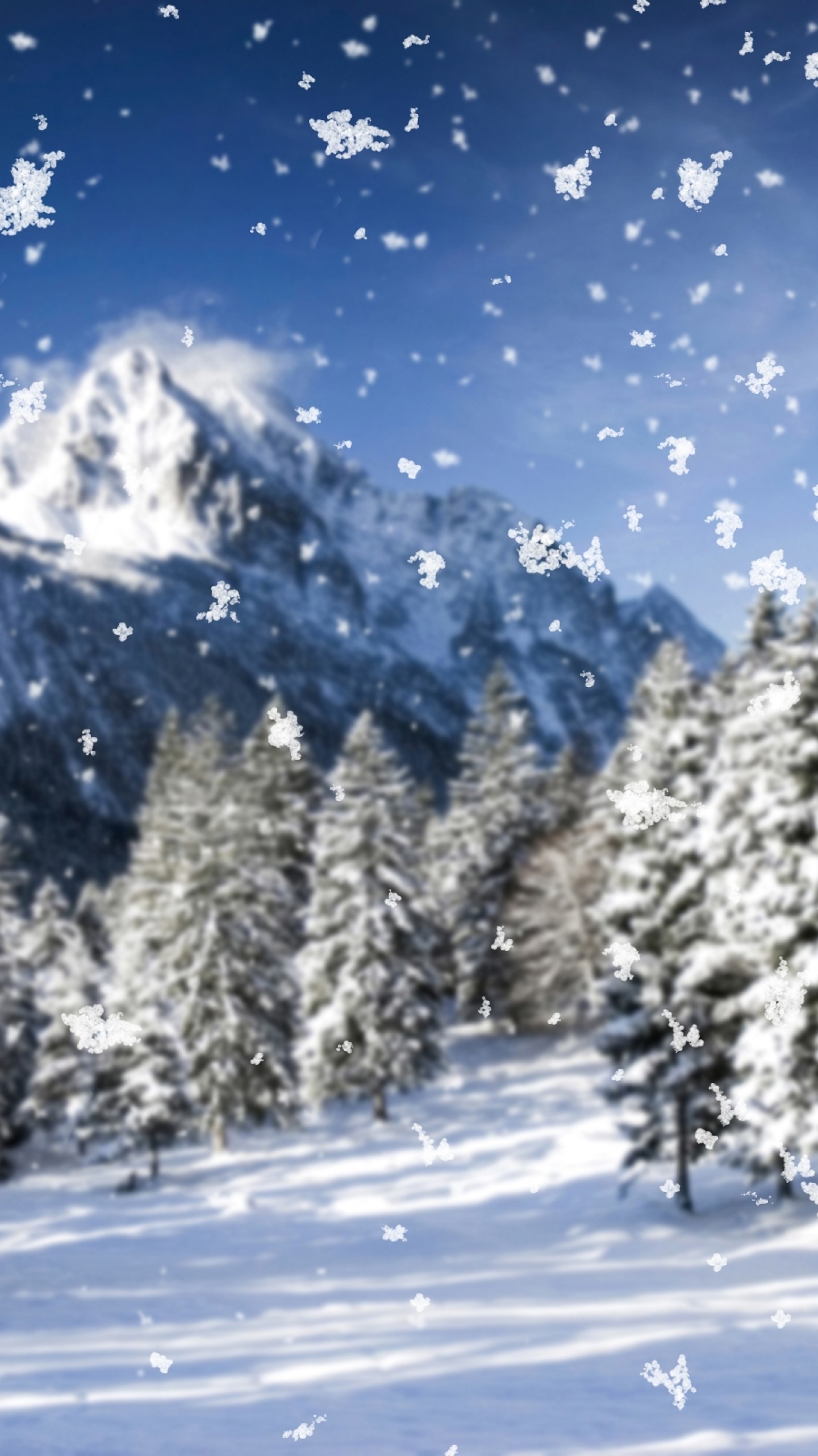1440x2560  Wallpaper snowfall, flakes, precipitation, winter, fir-trees,  trees