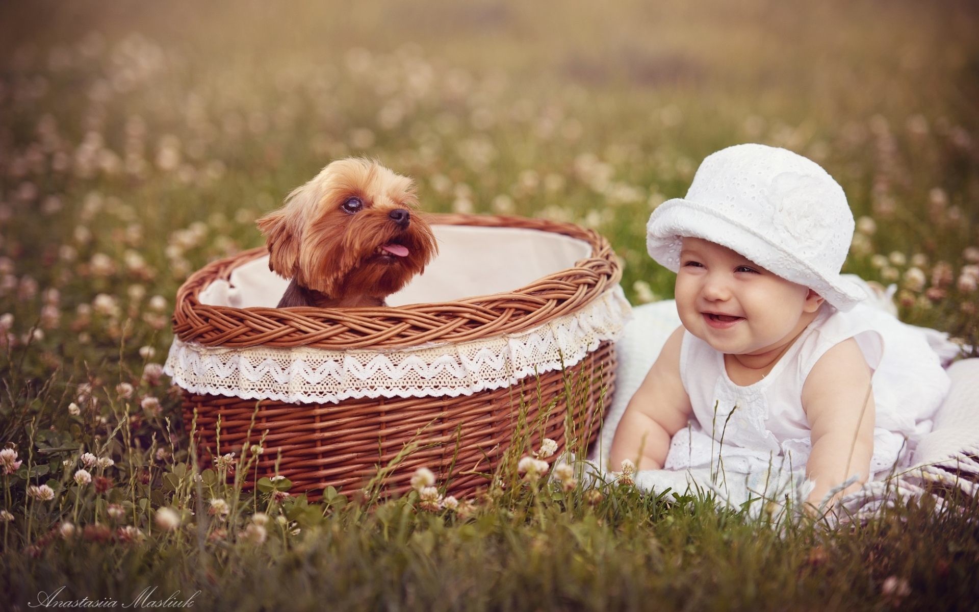 1920x1200 Dog and Cute Baby Wallpaper . Check out more @ wallpaperxhd.com