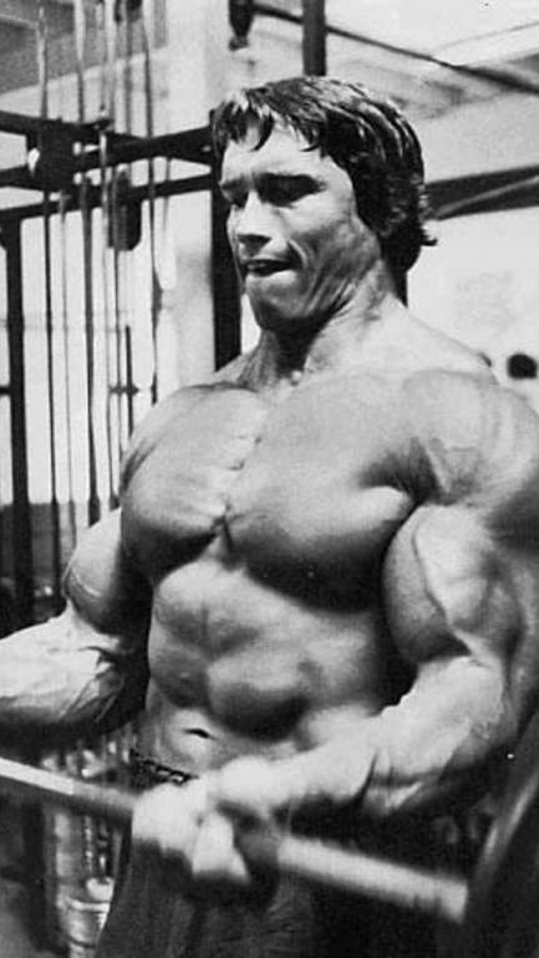1080x1920 wallpaper.wiki-Download-Arnold-Schwarzenegger-Picture-for-Iphone-