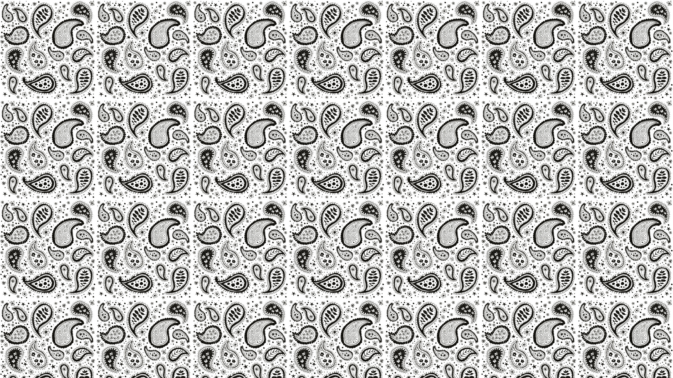 2560x1440 Paisley Black and White Wallpaper Unique Black and White Paisley Wallpaper  ããæ´è½å¥³å­åãã