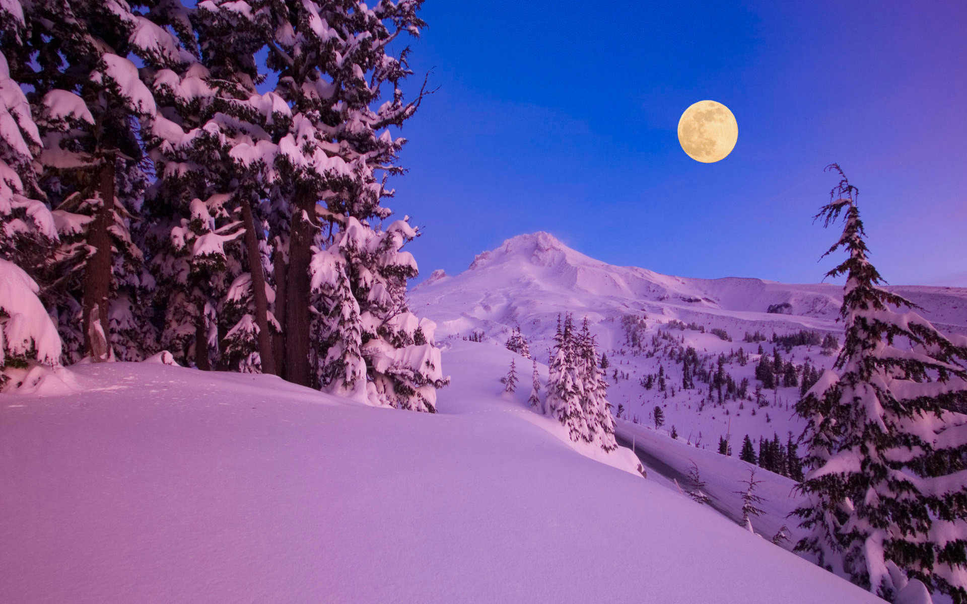 1920x1200 Wallpaper winter, snow, night, moon, mountains, tree desktop wallpaper .