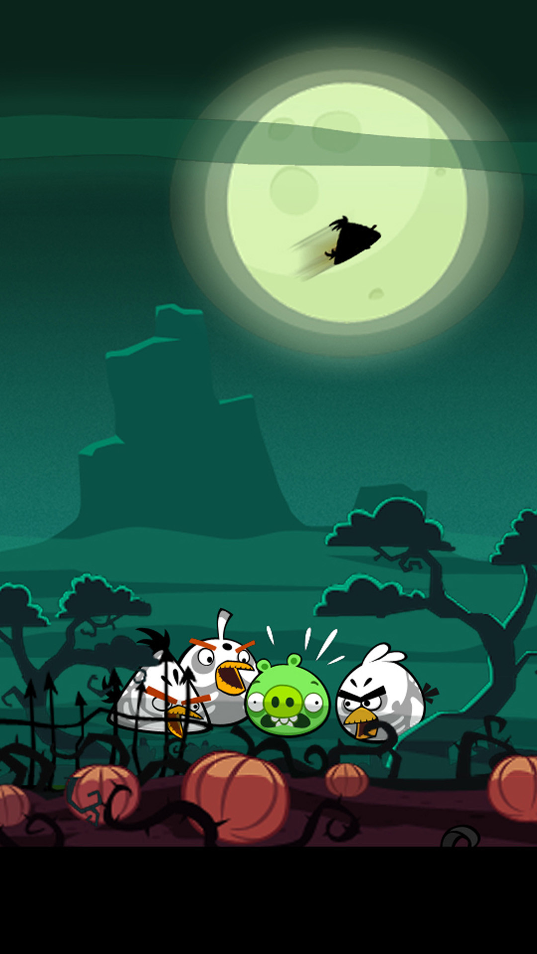 1080x1920 iPhone 6 plus Angry Birds 26 HD Wallpaper