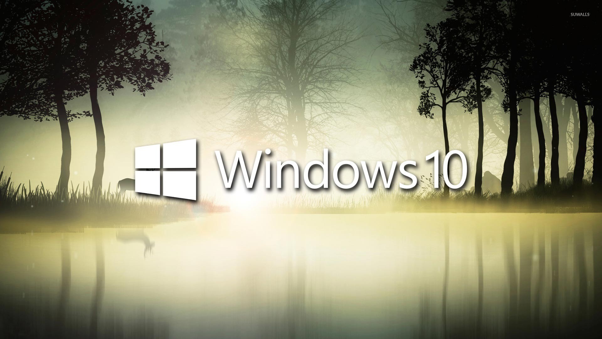 1920x1080 Windows 10 in the foggy forest wallpaper