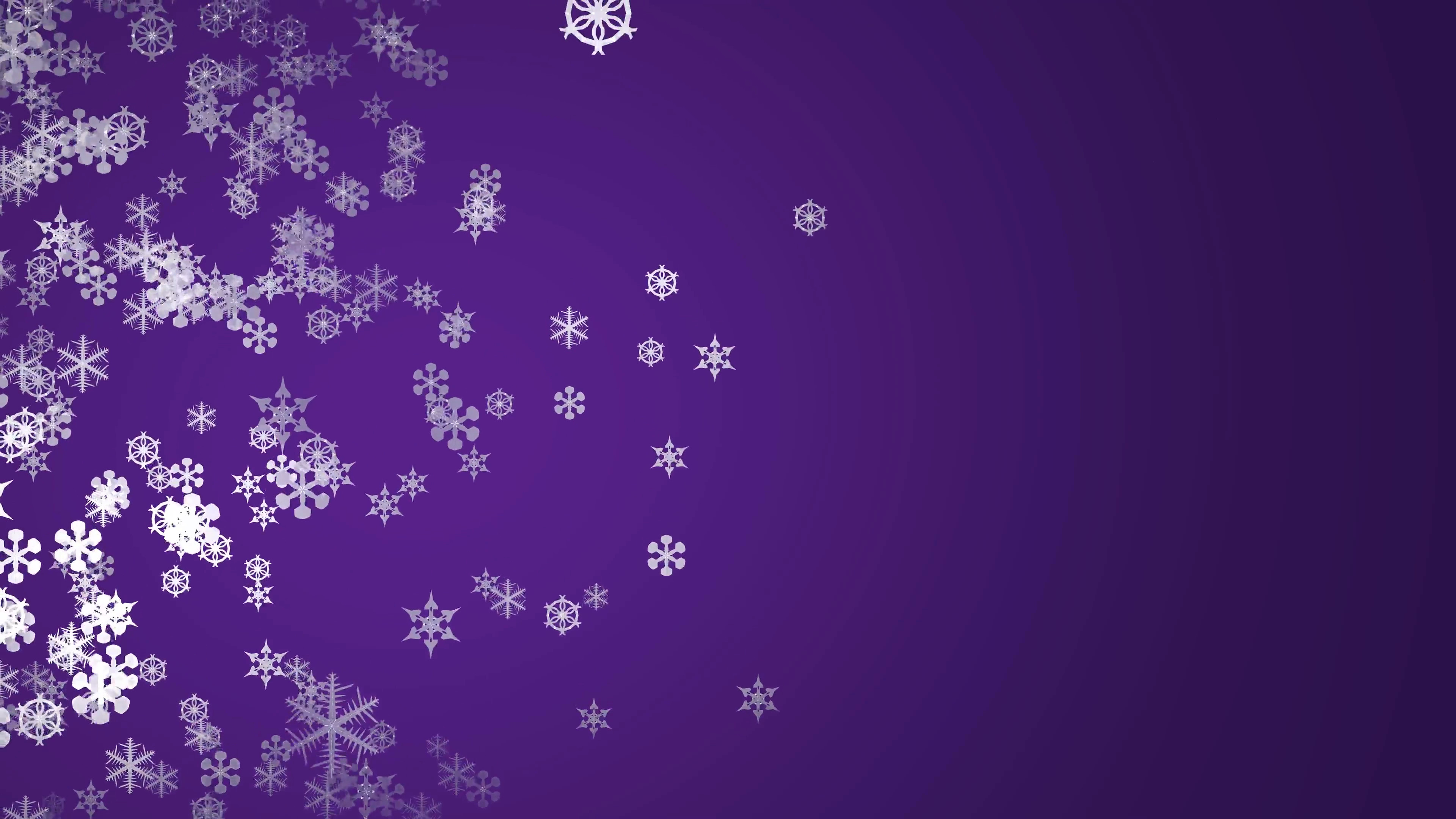 3840x2160 4K Abstract white snowflakes falling on a half pane purple background