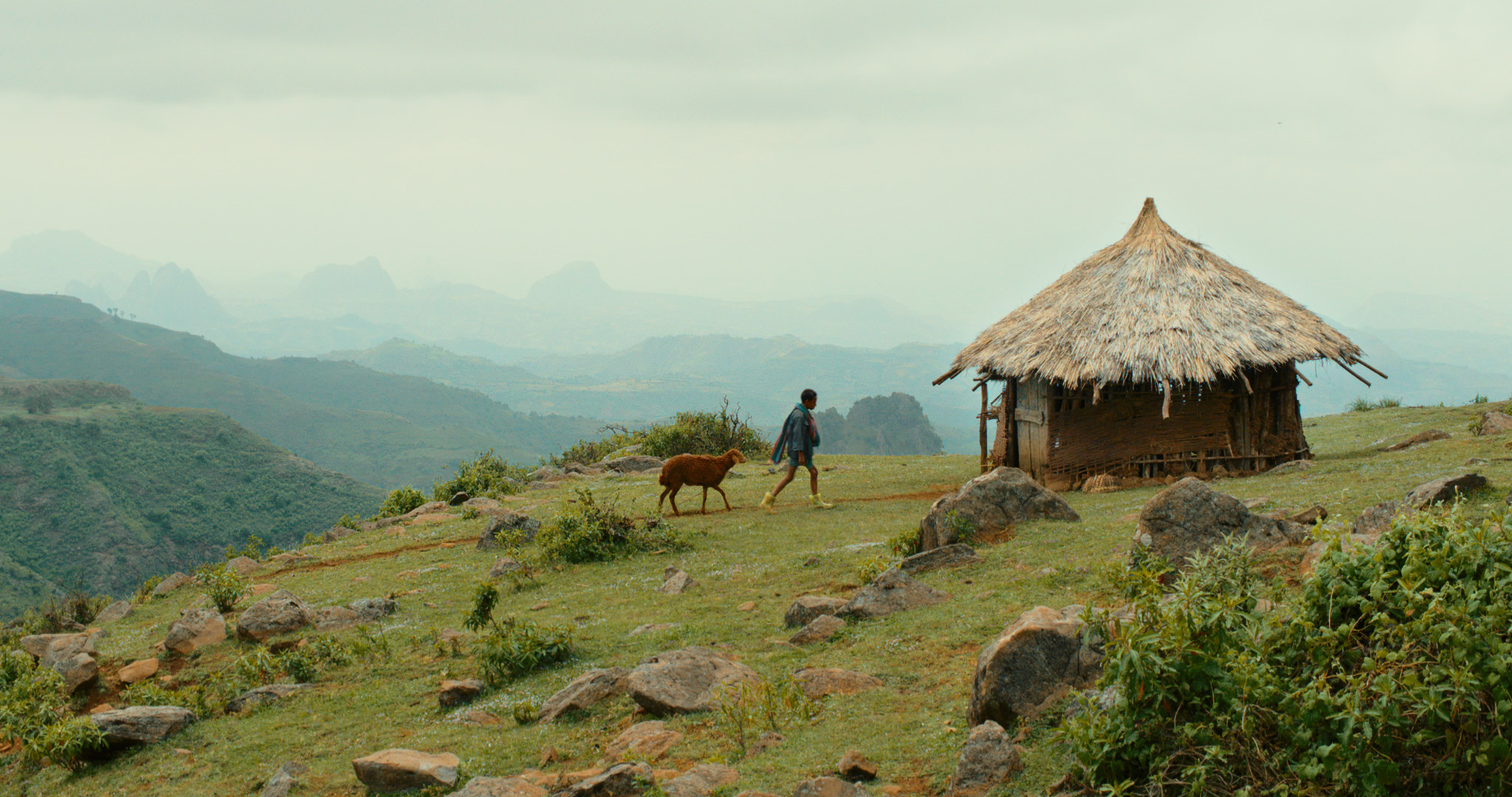 2048x1080 Exclusive: KimStim Acquires Ethiopia's Coming-of-Age Oscar Entry 'Lamb'