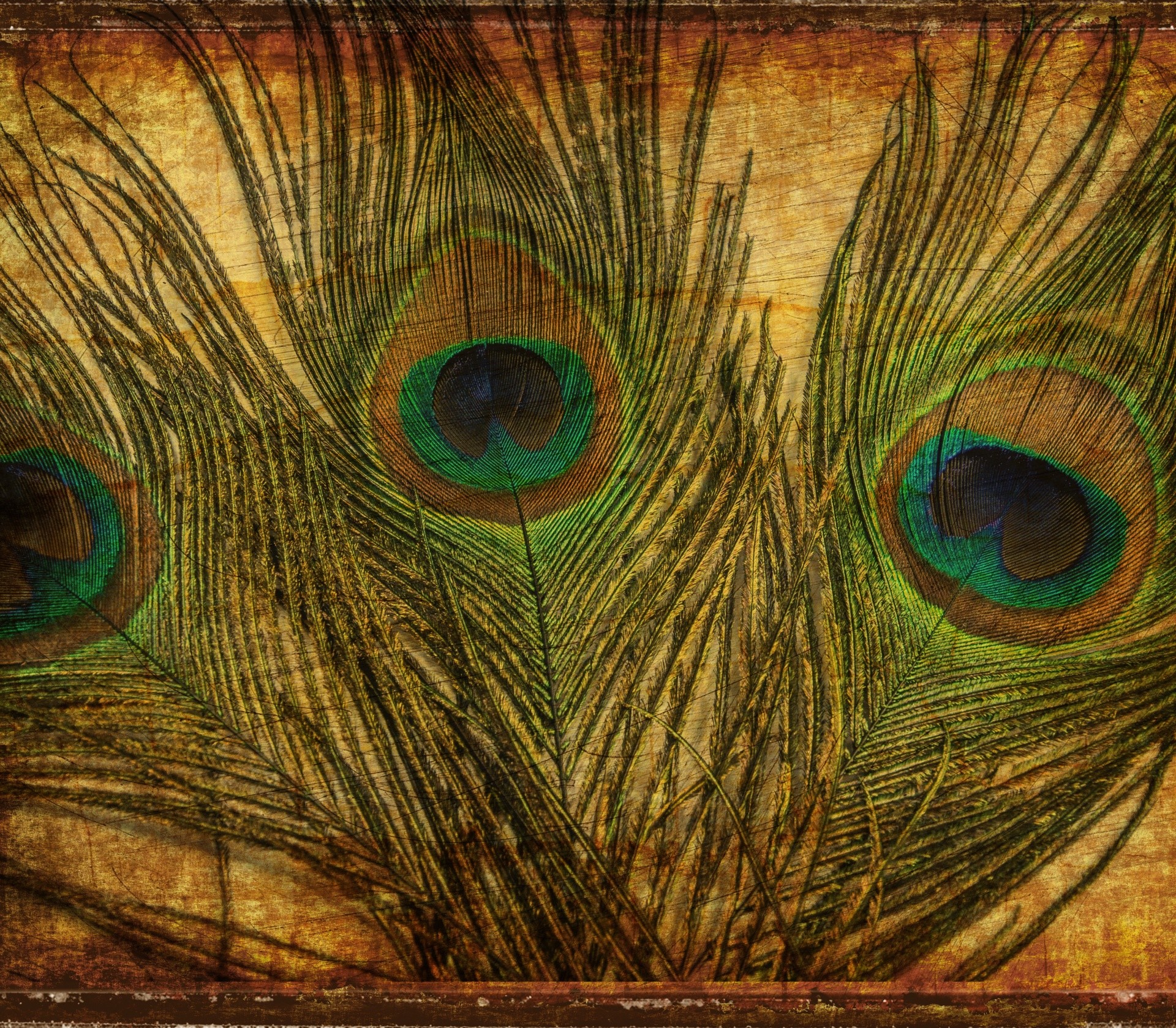 1920x1678 Peacock Feathers Vintage Background