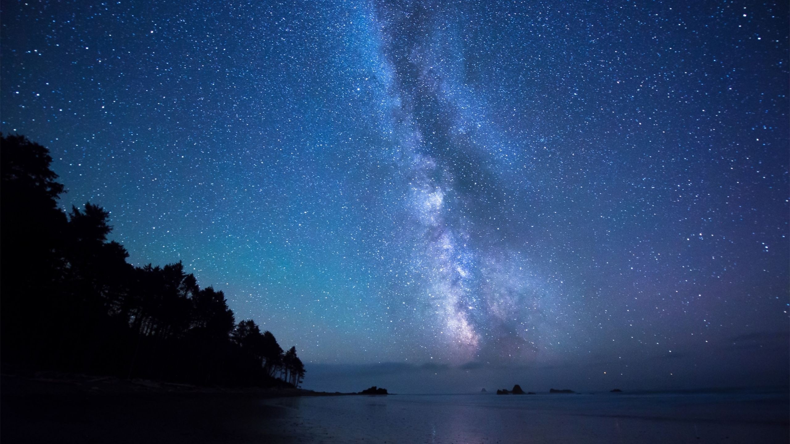2560x1440 Preview wallpaper stars, sky, shore 