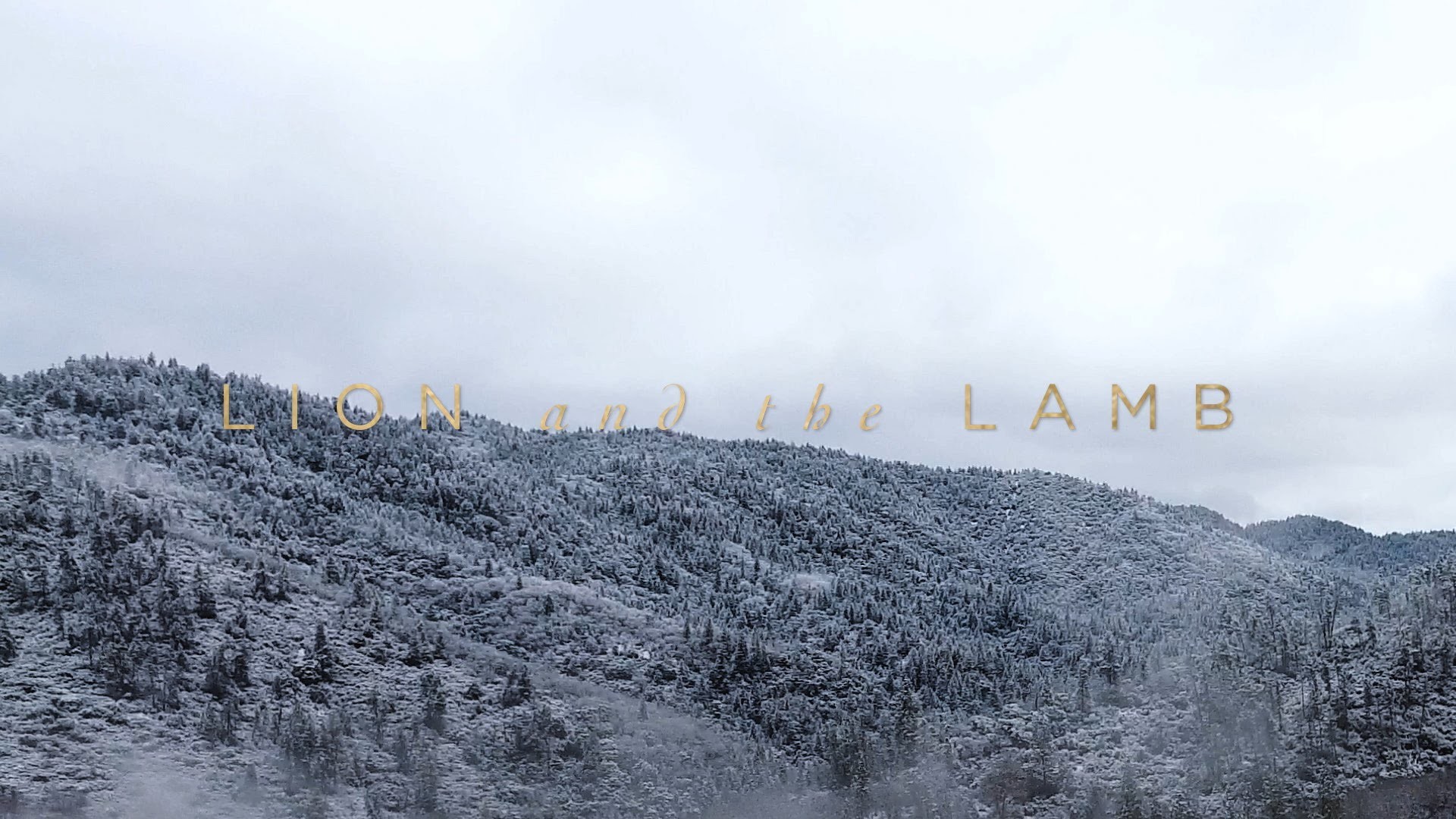 1920x1080 Lion And The Lamb // Leeland // Have It All Official Lyric Video - YouTube
