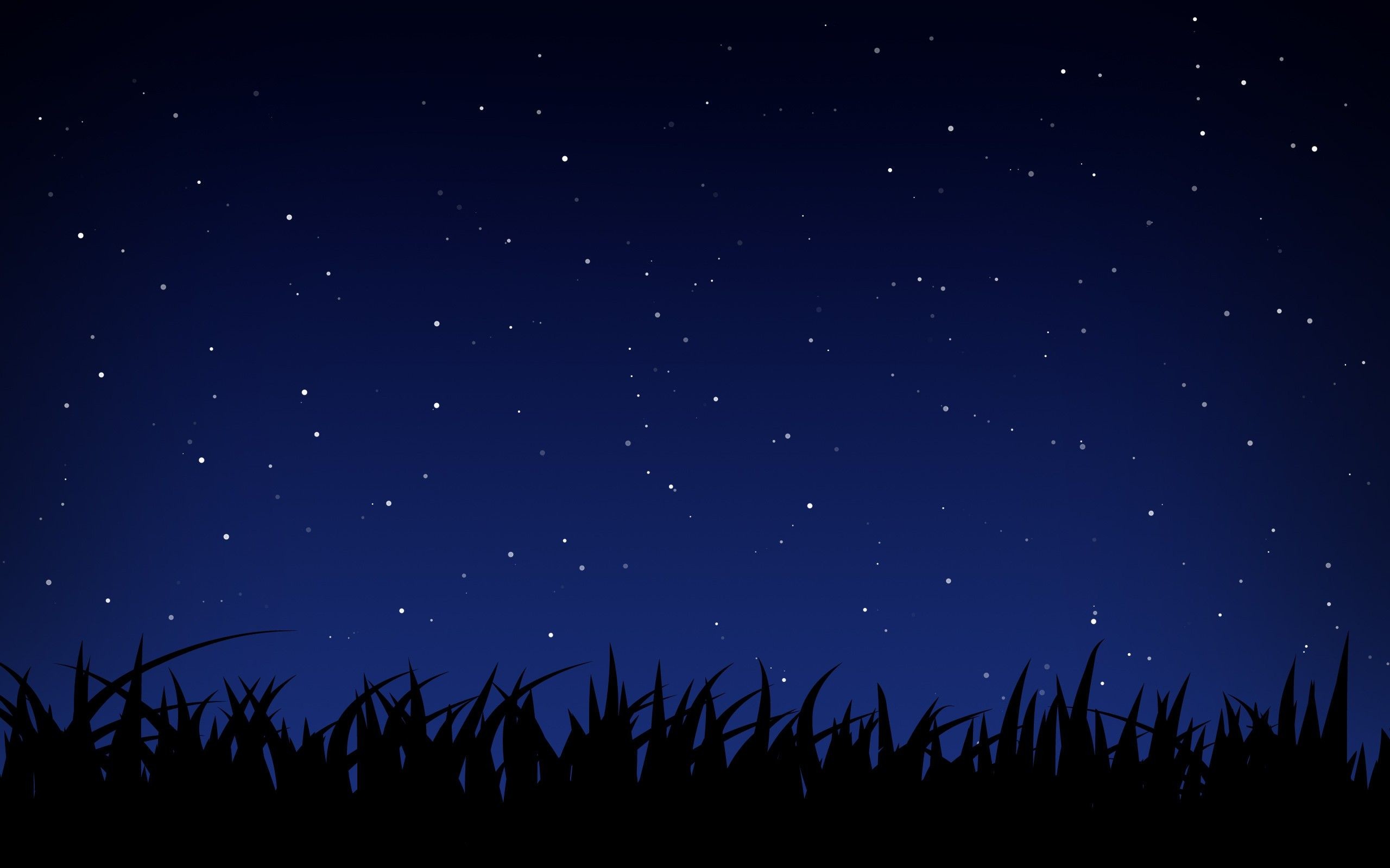 2560x1600 Anime Starry Night Sky Wallpapers Phone