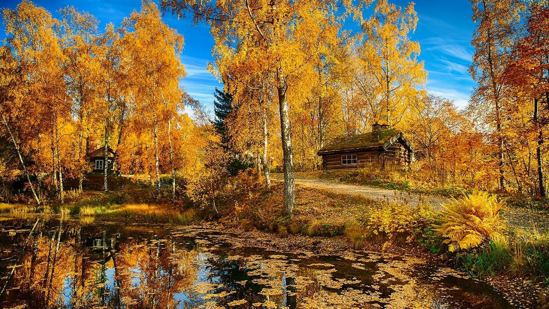 1920x1080 Autumn Tag - Nature House Landscape Trees Road Lake Norway Autumn Picture  Free for HD 16