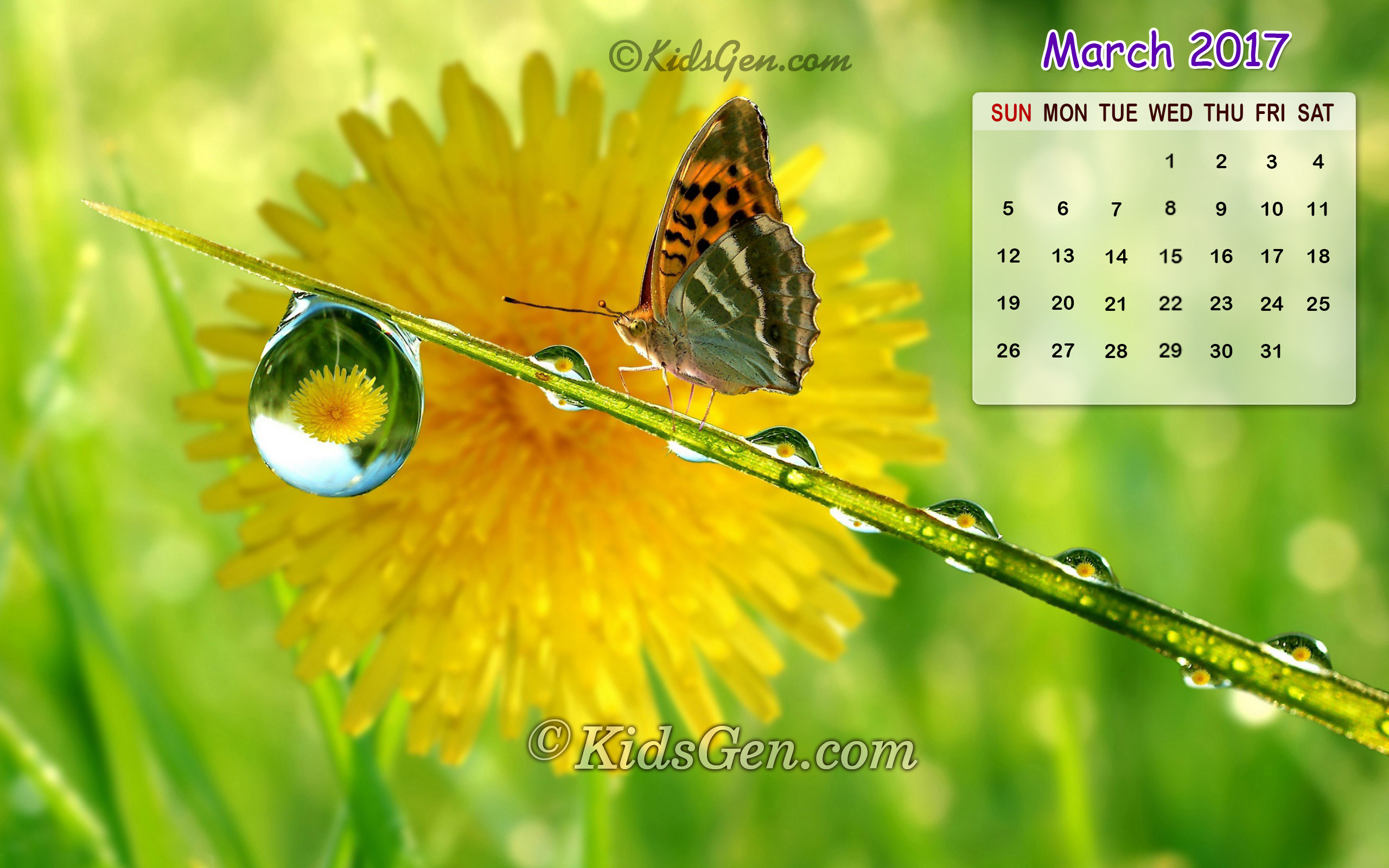 2560x1600 Butterfly themed March 2017 Calendar Wallpaper