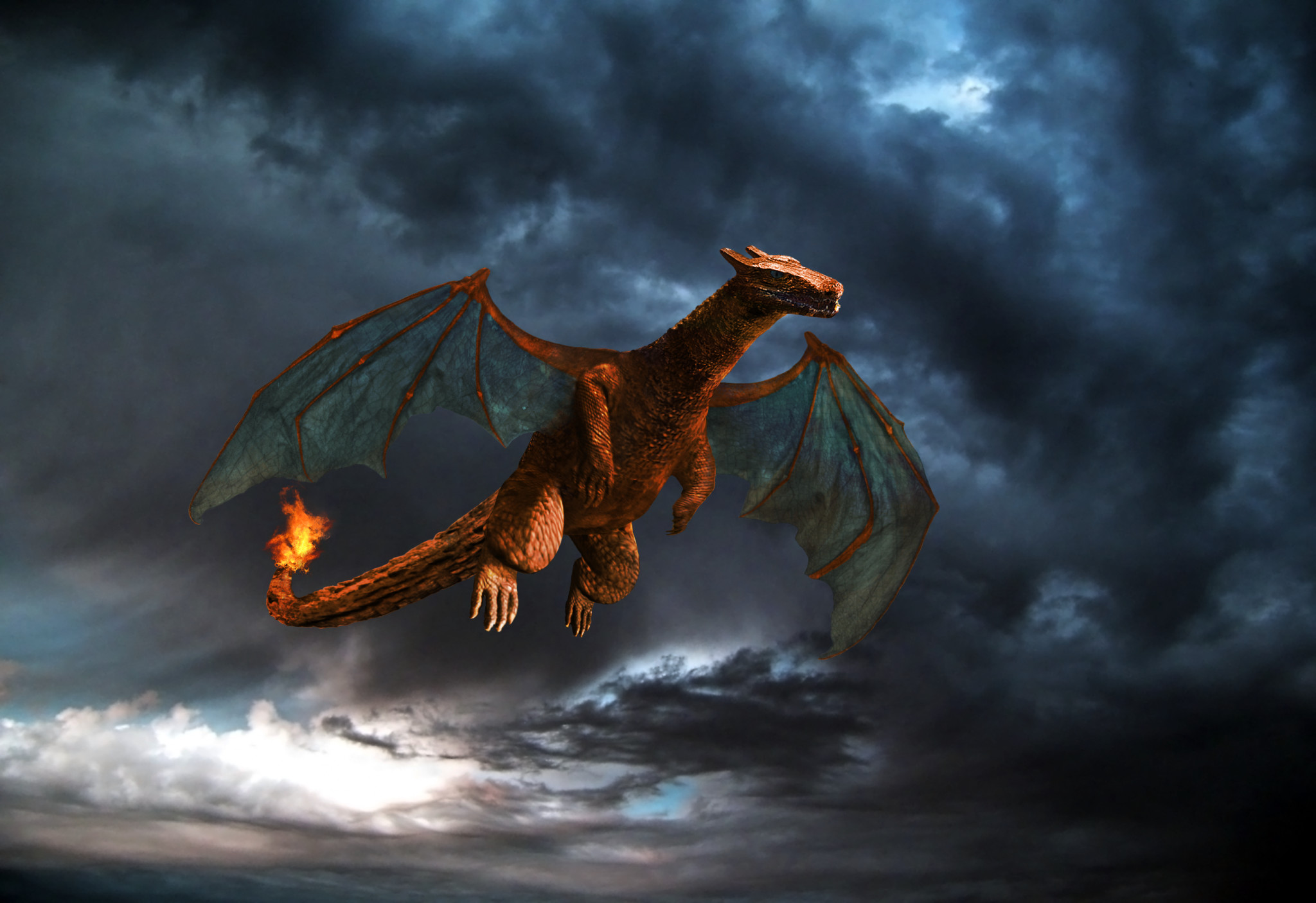 2048x1406 charizard wallpaper pictures free