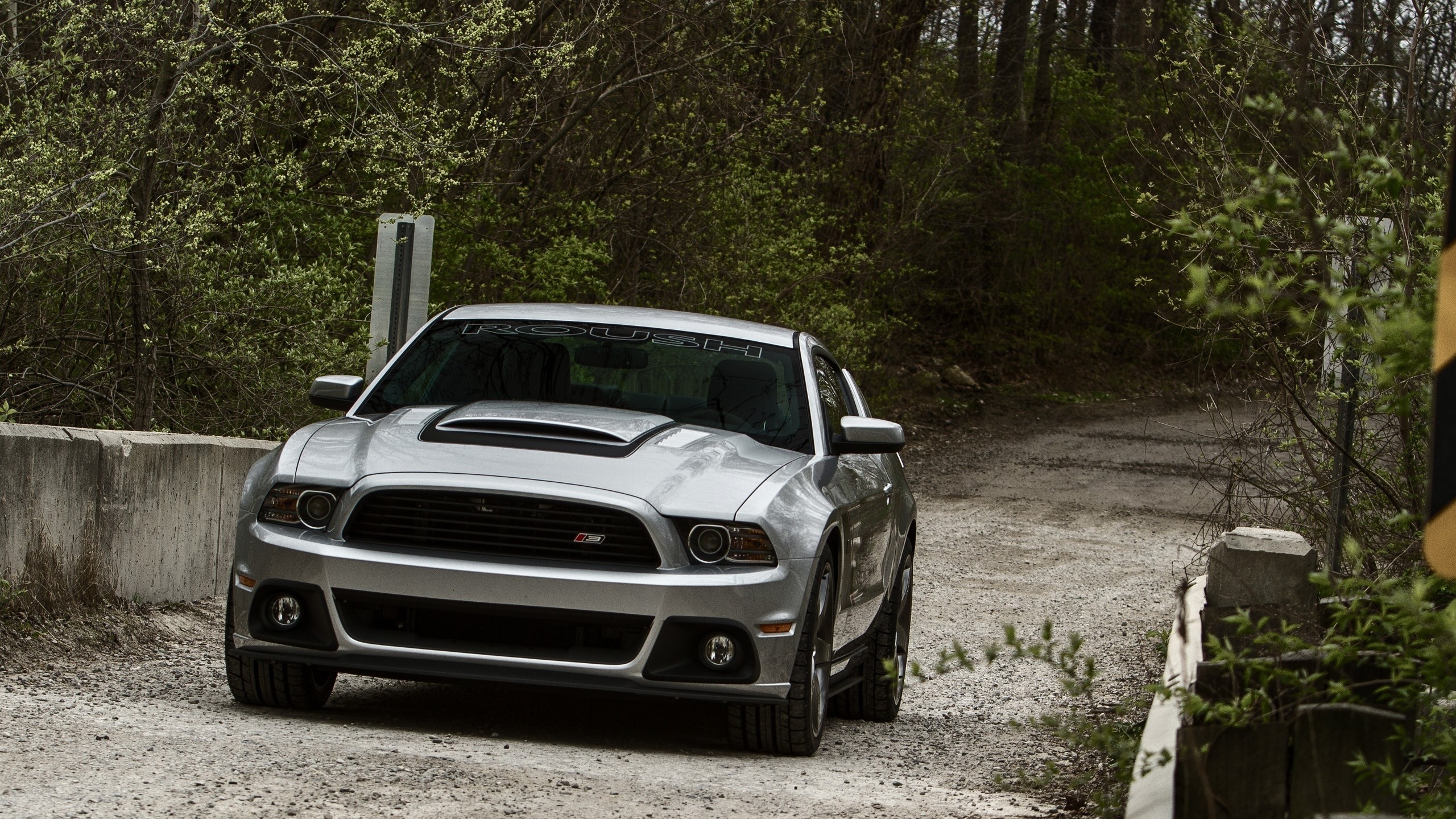 2560x1440 Pictures Of The New Mustang Background For Desktop Pc