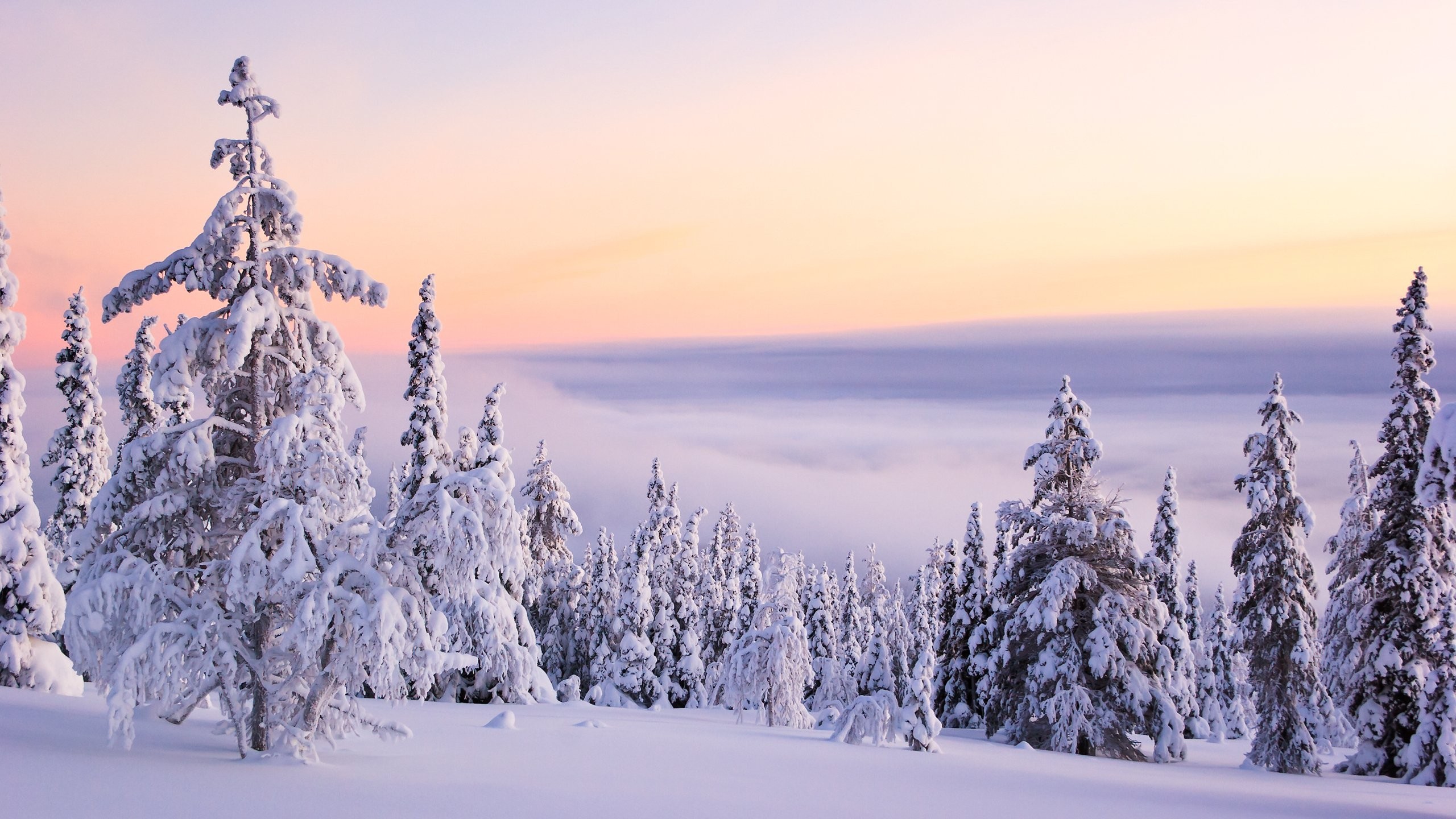 2560x1440 Download ... winter scenes wallpaper free for desktop ...