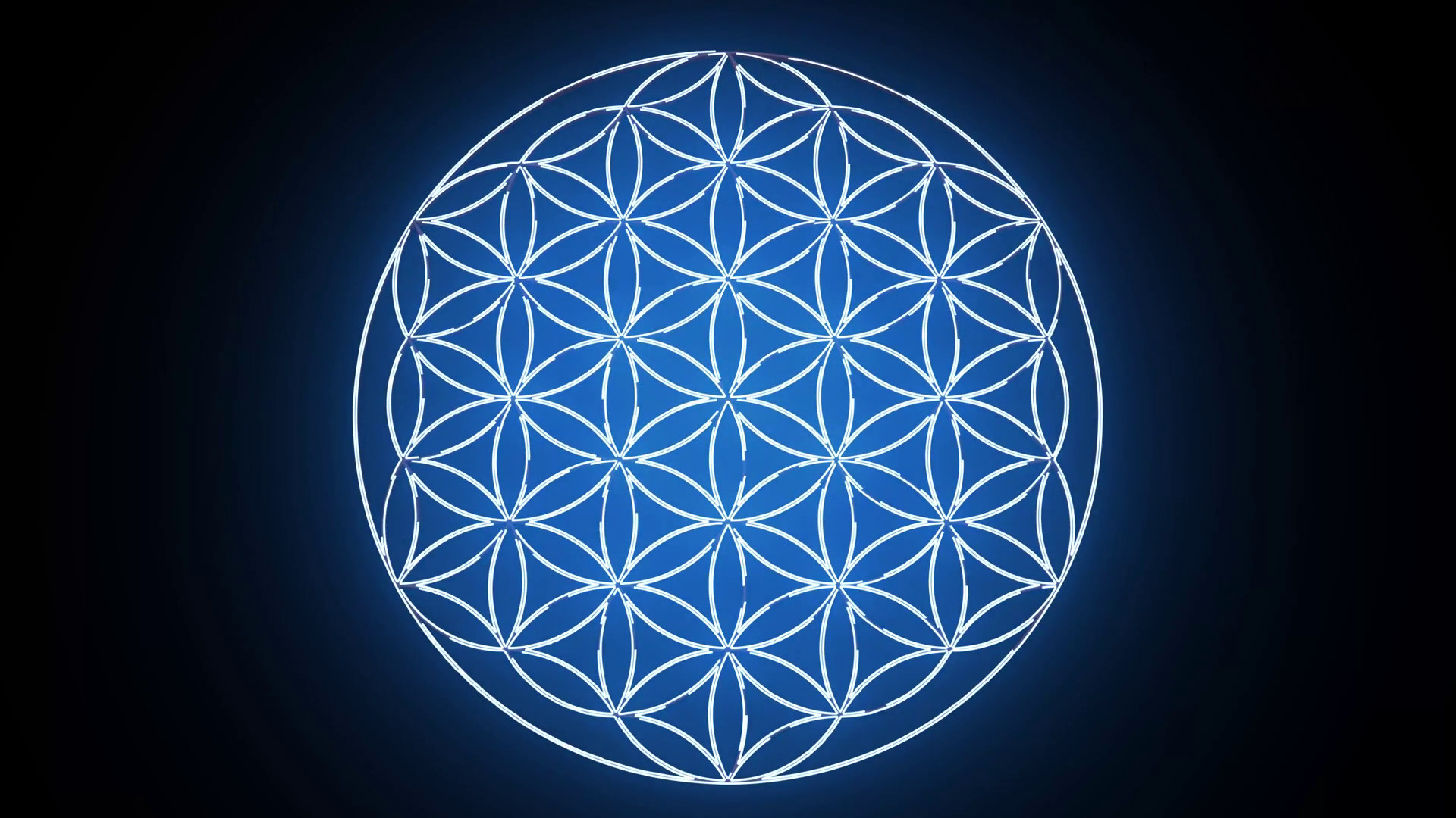 1920x1080 The Flower of Life Forming Sacred Geometry Symbol Motion Background -  VideoBlocks